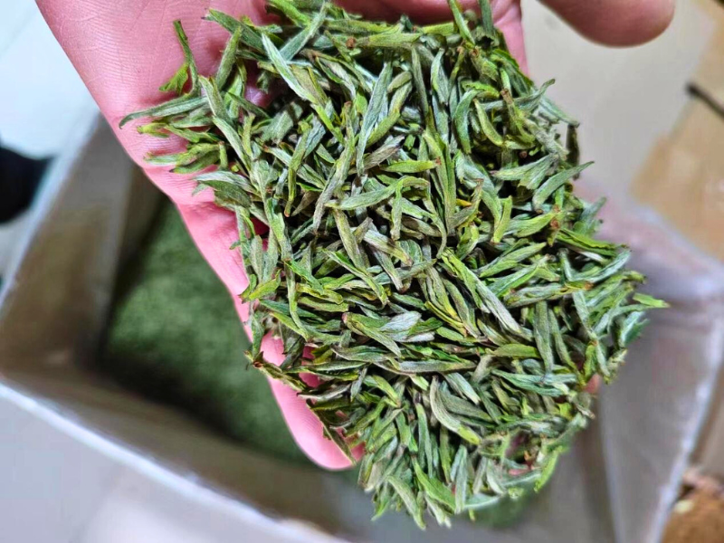 The Grade of Huangshan Maofeng Tea