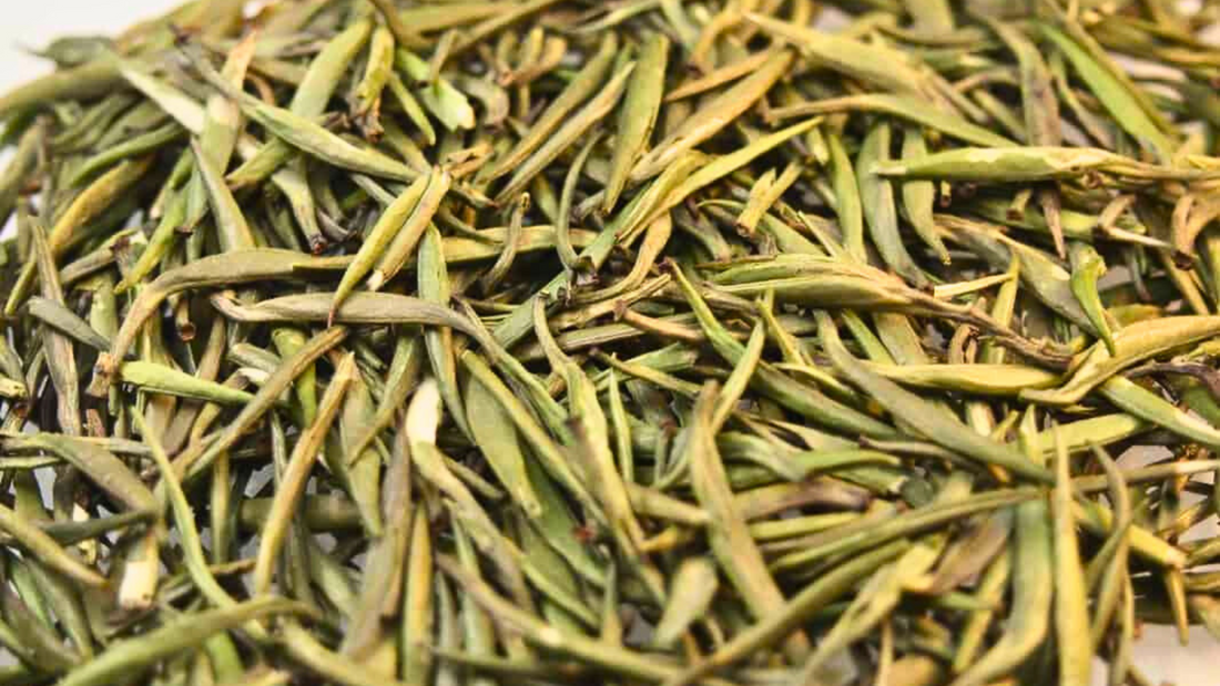About Jun Shan Yin Zhen-Mt.Jun Silver Needle