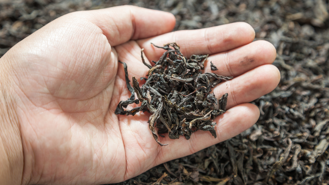 About Oolong Tea