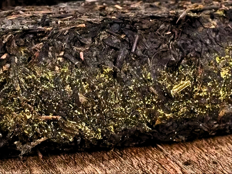 Health Benefits of Dark Tea