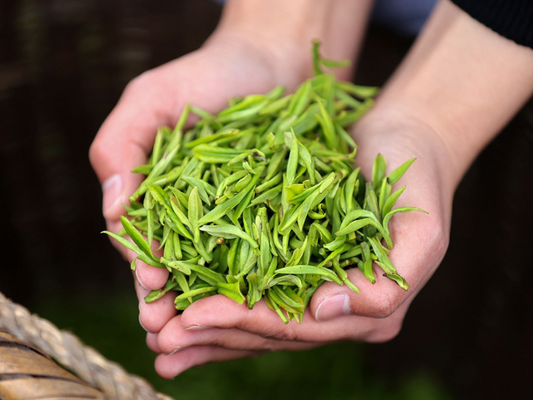 Chinese Green Tea-Features and Varieties