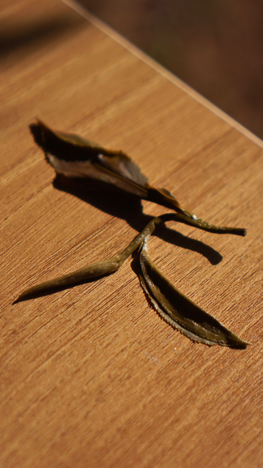 Lao Man'e Ancient Tea Tree Raw Pu-erh
