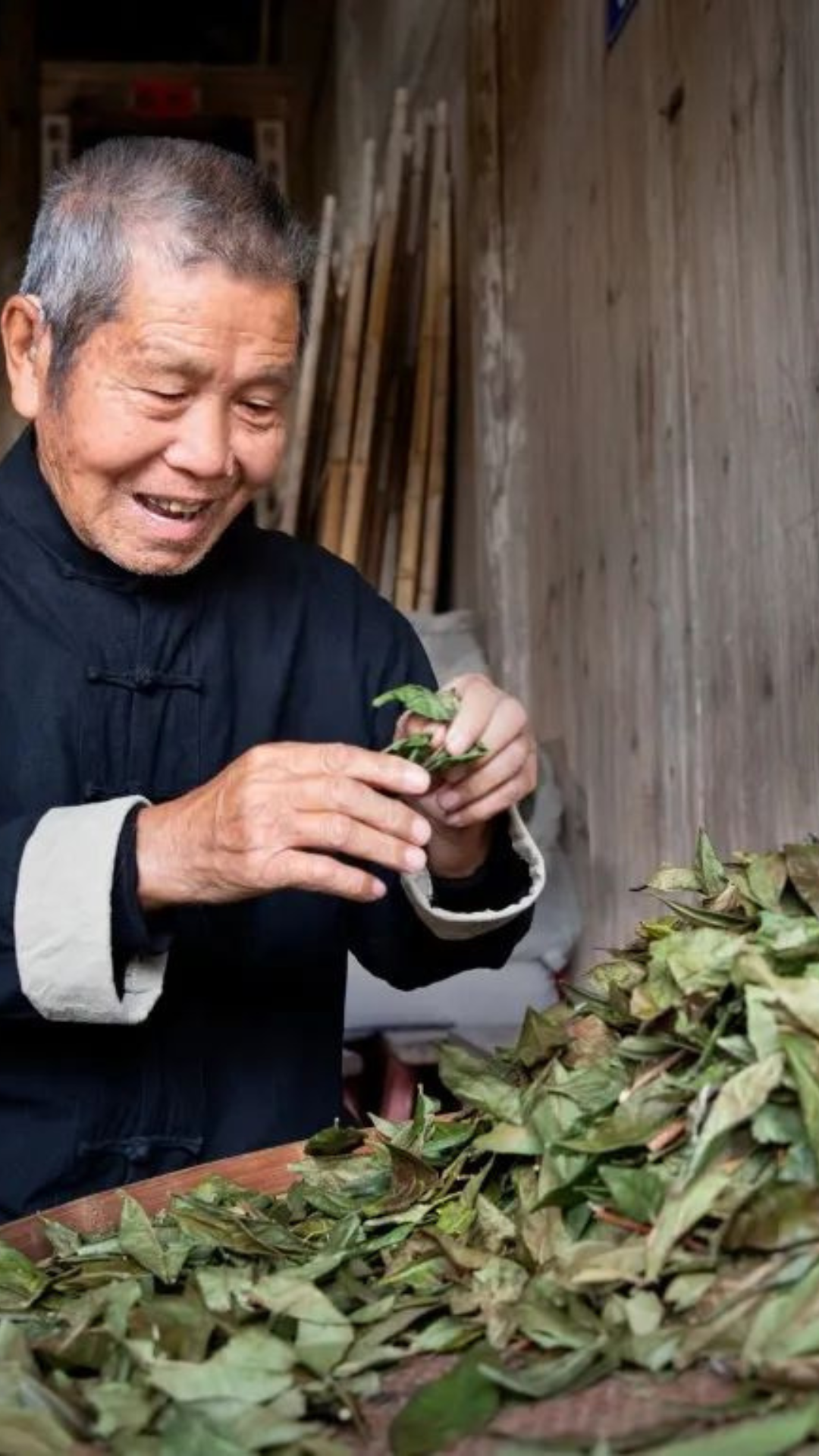 Bailiu Village Bai Mu Dan Made by Tea Master Mei Xiangjing
