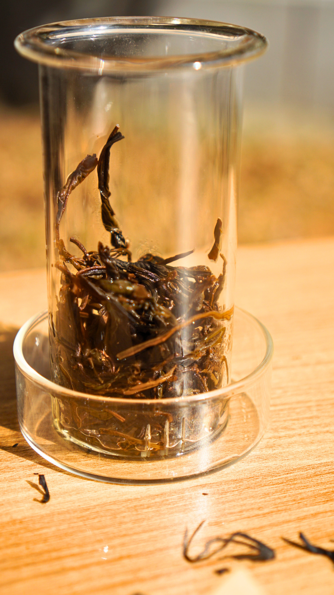 Abandoned Wild Tea Bush Qimen Black Tea