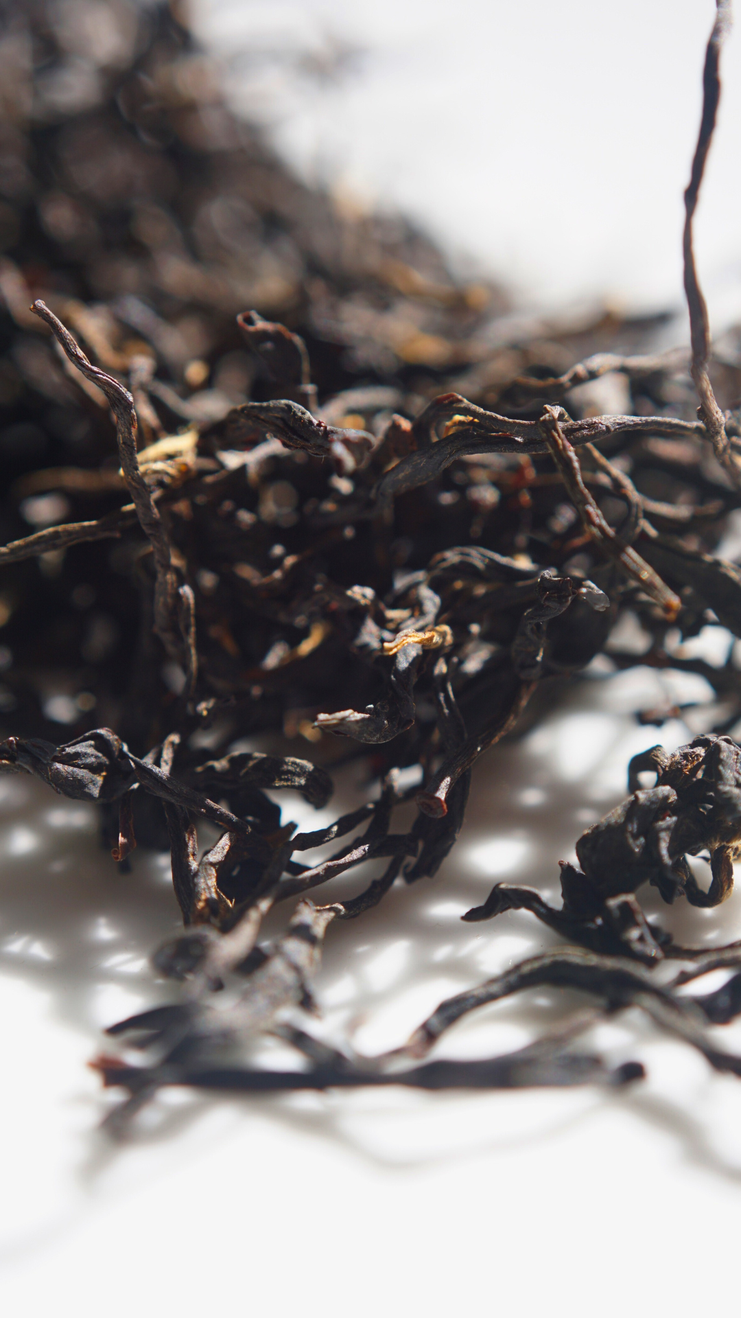 Bai Yun Shan Fragrant Xiao Zhong