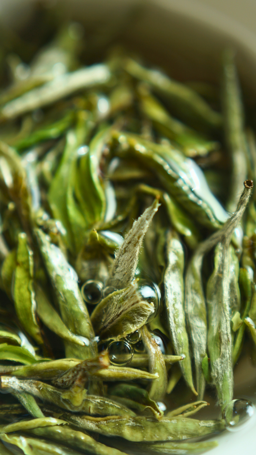 Bailiu Village Bai Mu Dan Made by Tea Master Mei Xiangjing