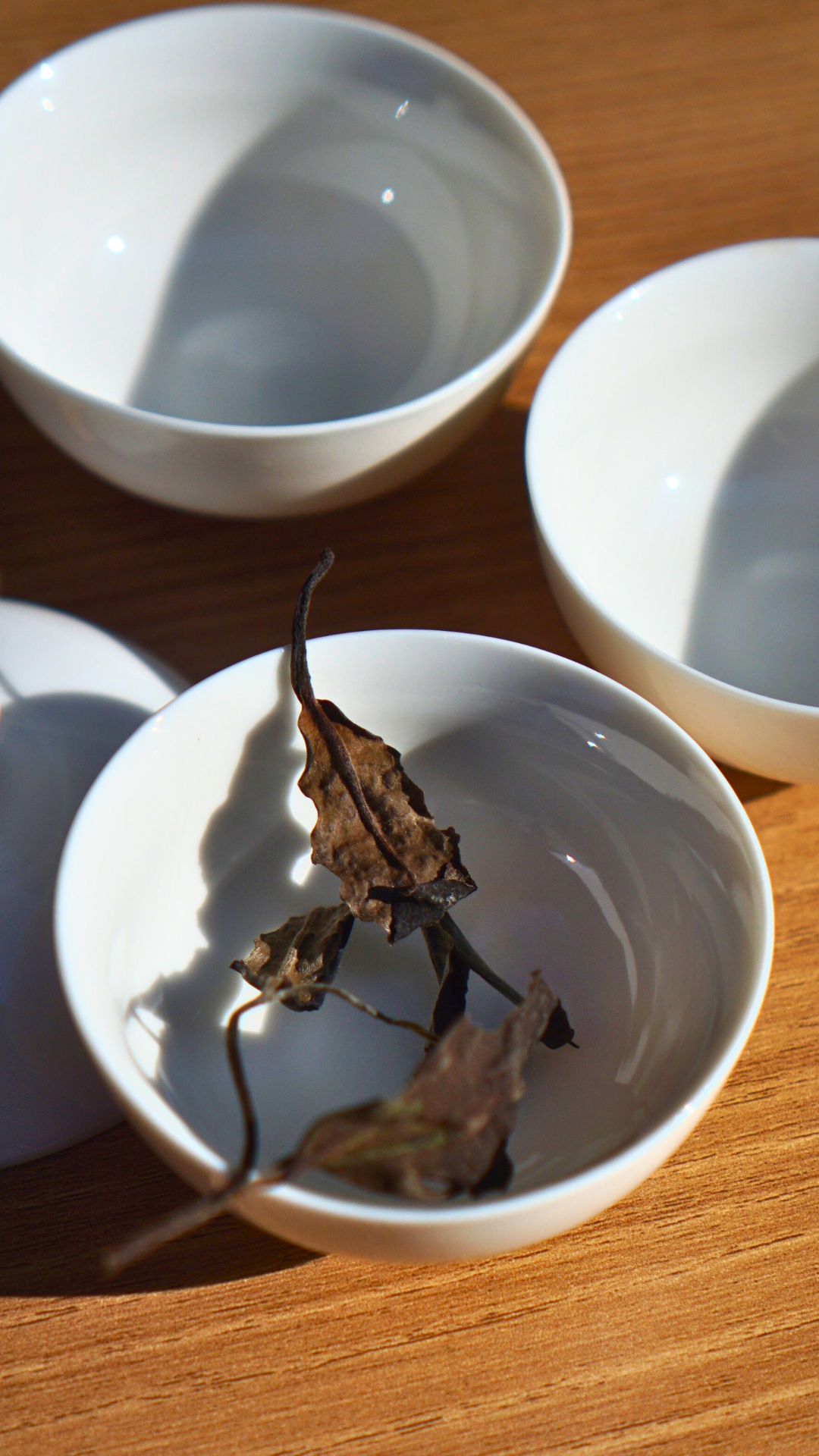 Banzhang Large-Leaf White Tea Shou Mei