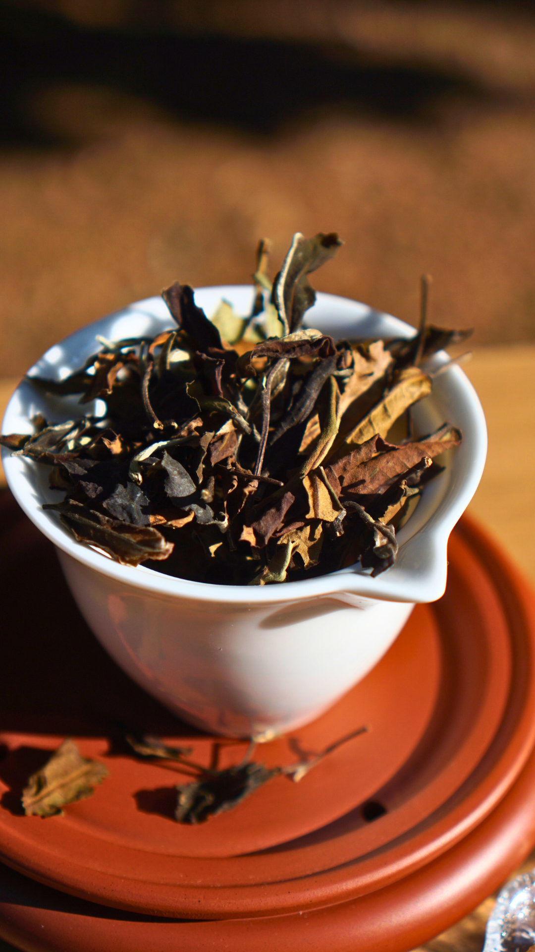 Banzhang Large-Leaf White Tea Shou Mei