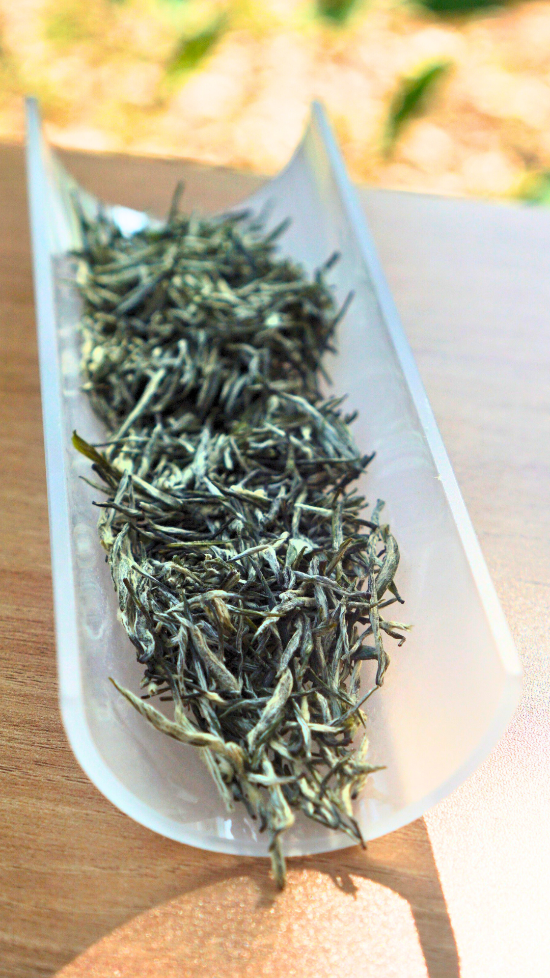 Dengcun Green Tea Top Grade Downy Buds