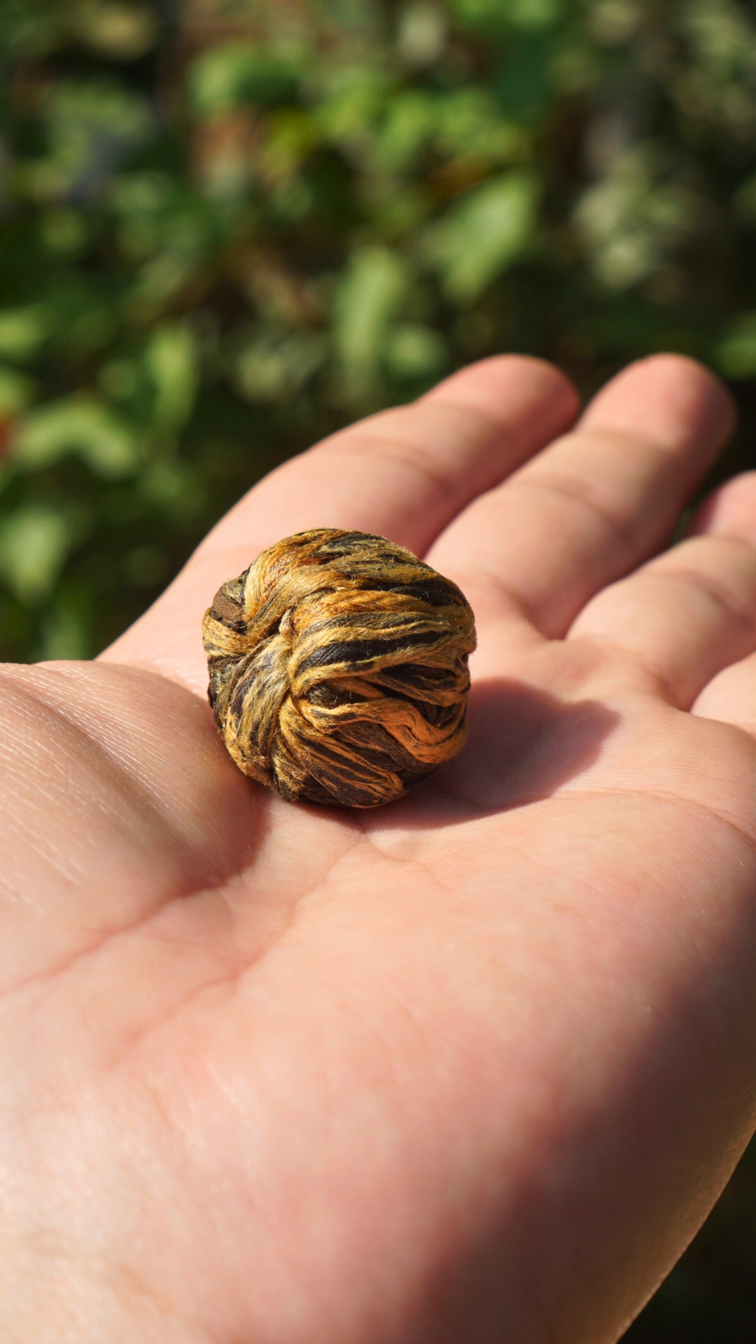Dianhong Teaball-Golden Buds