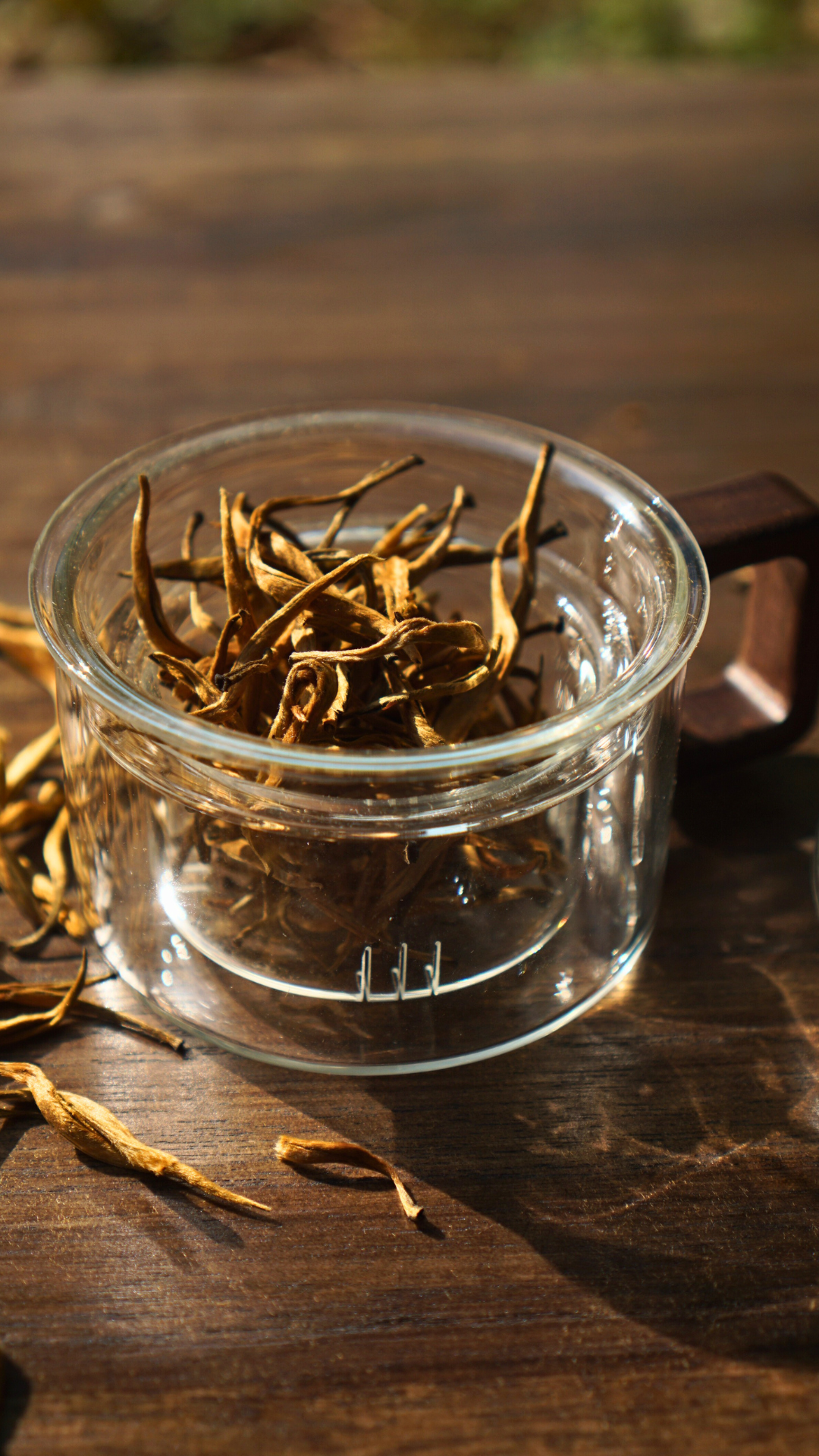 Dianhong Golden Buds-Large Buds