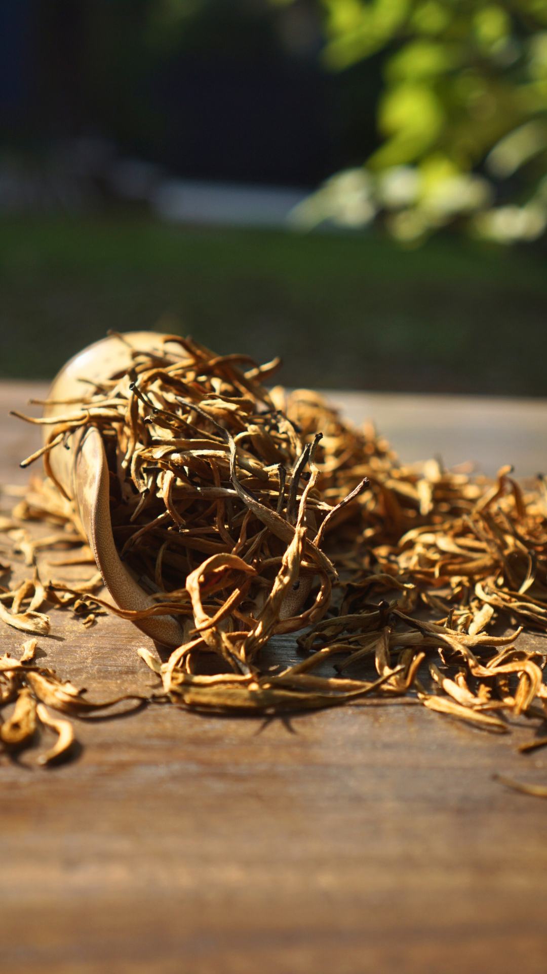 Dianhong Golden Buds-Large Buds
