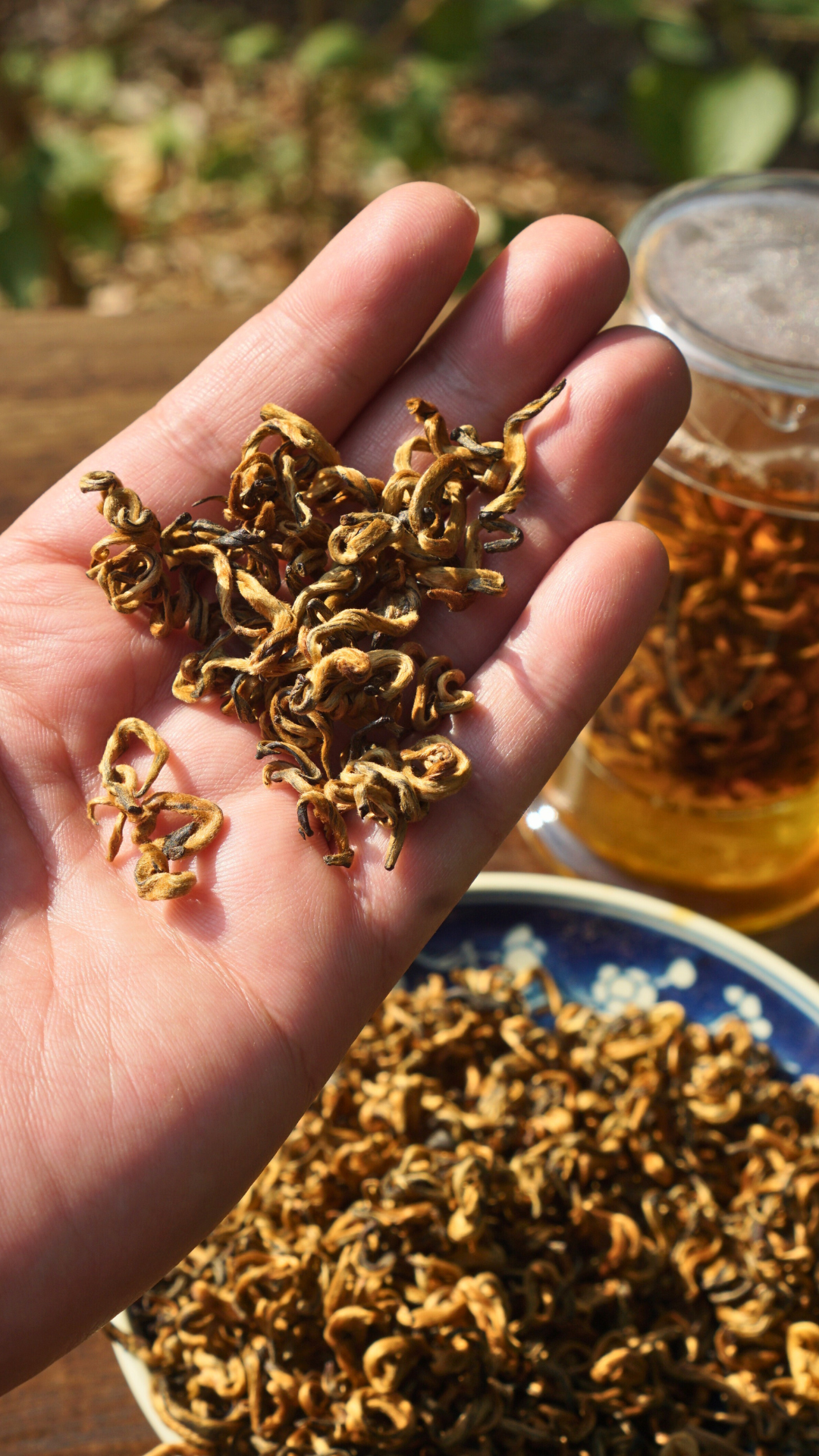 Dianhong Curly Golden Buds