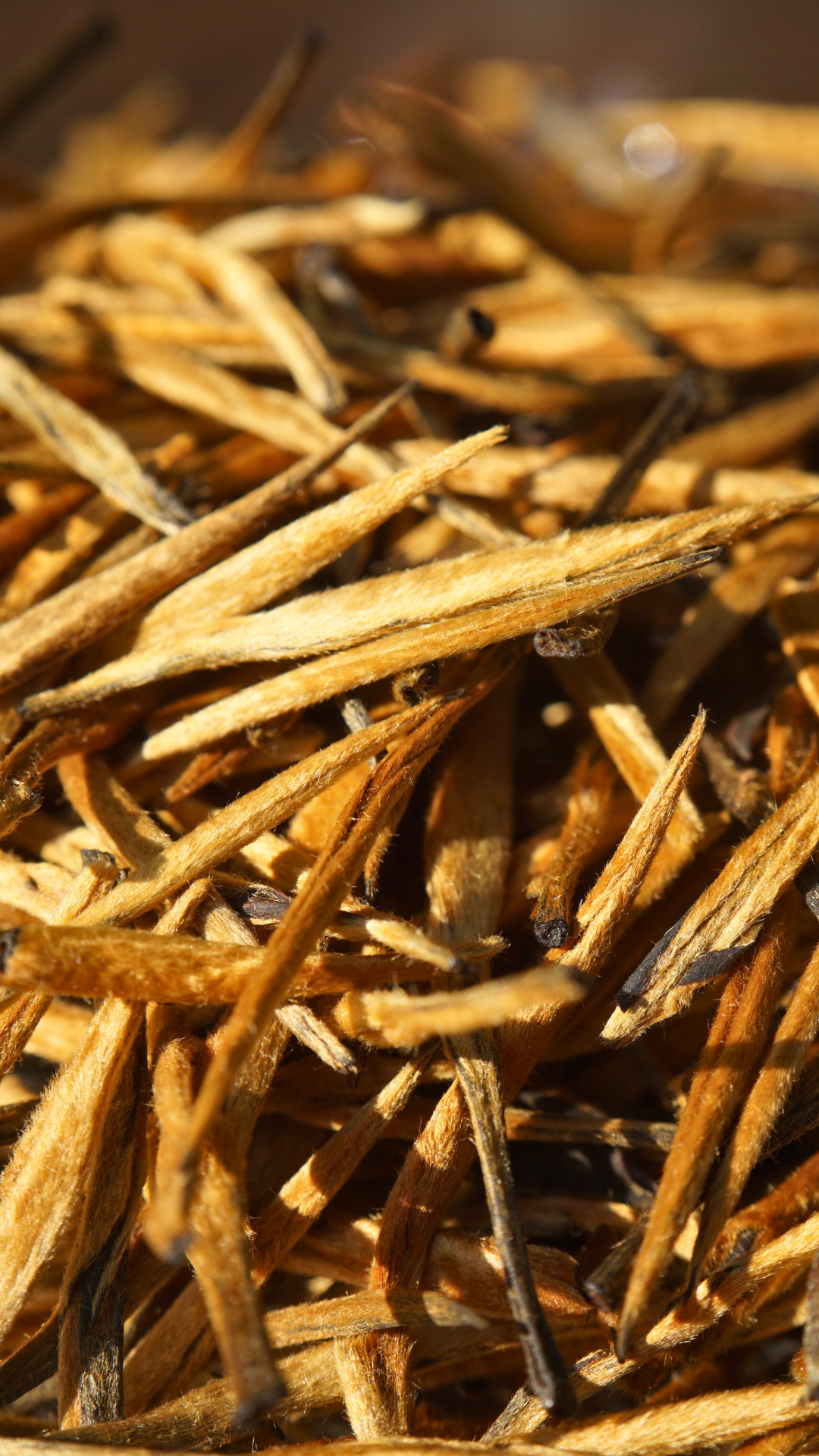 Dianhong Golden Needle-Large Buds