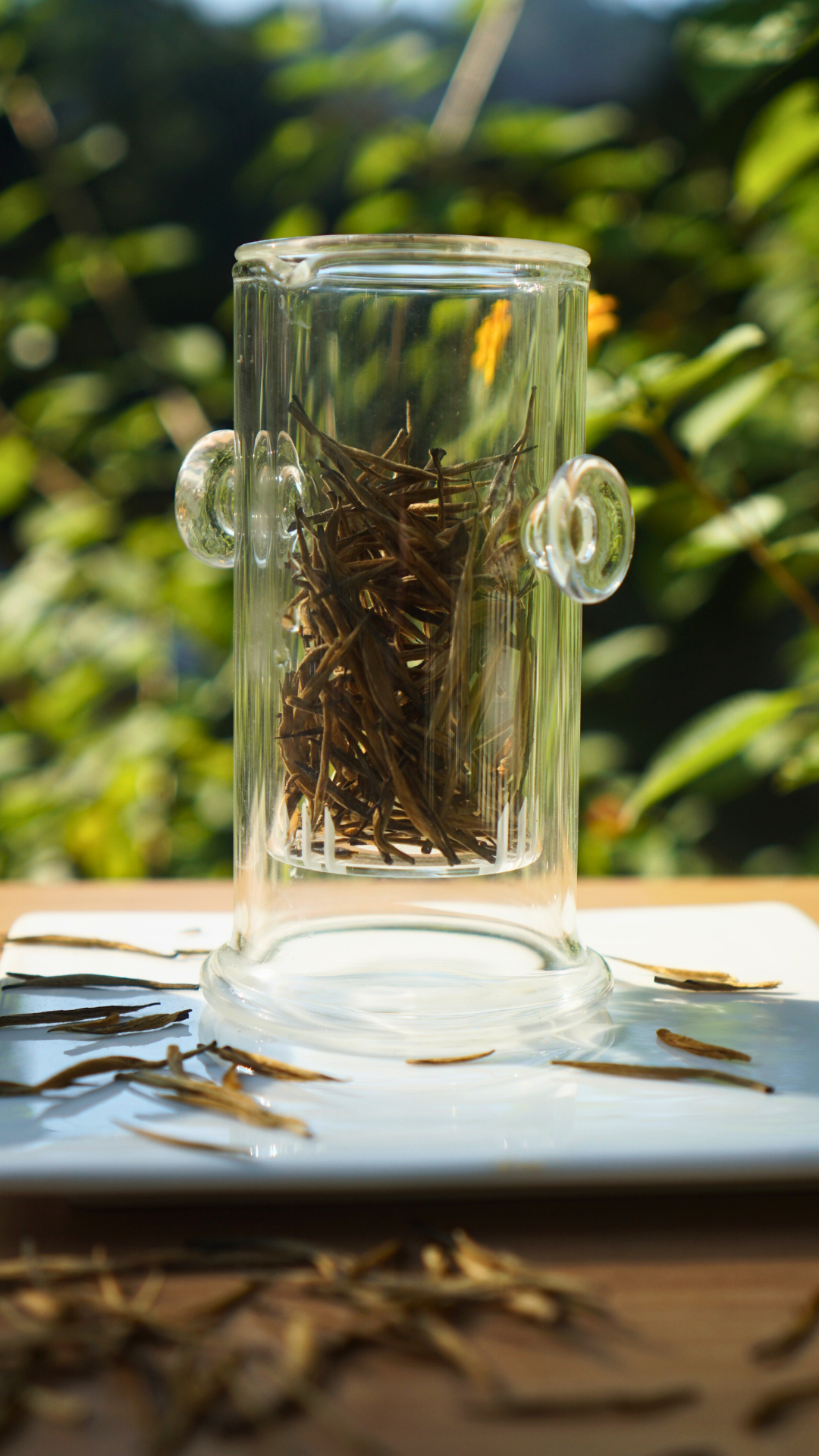 Dianhong Golden Needle-Small Buds