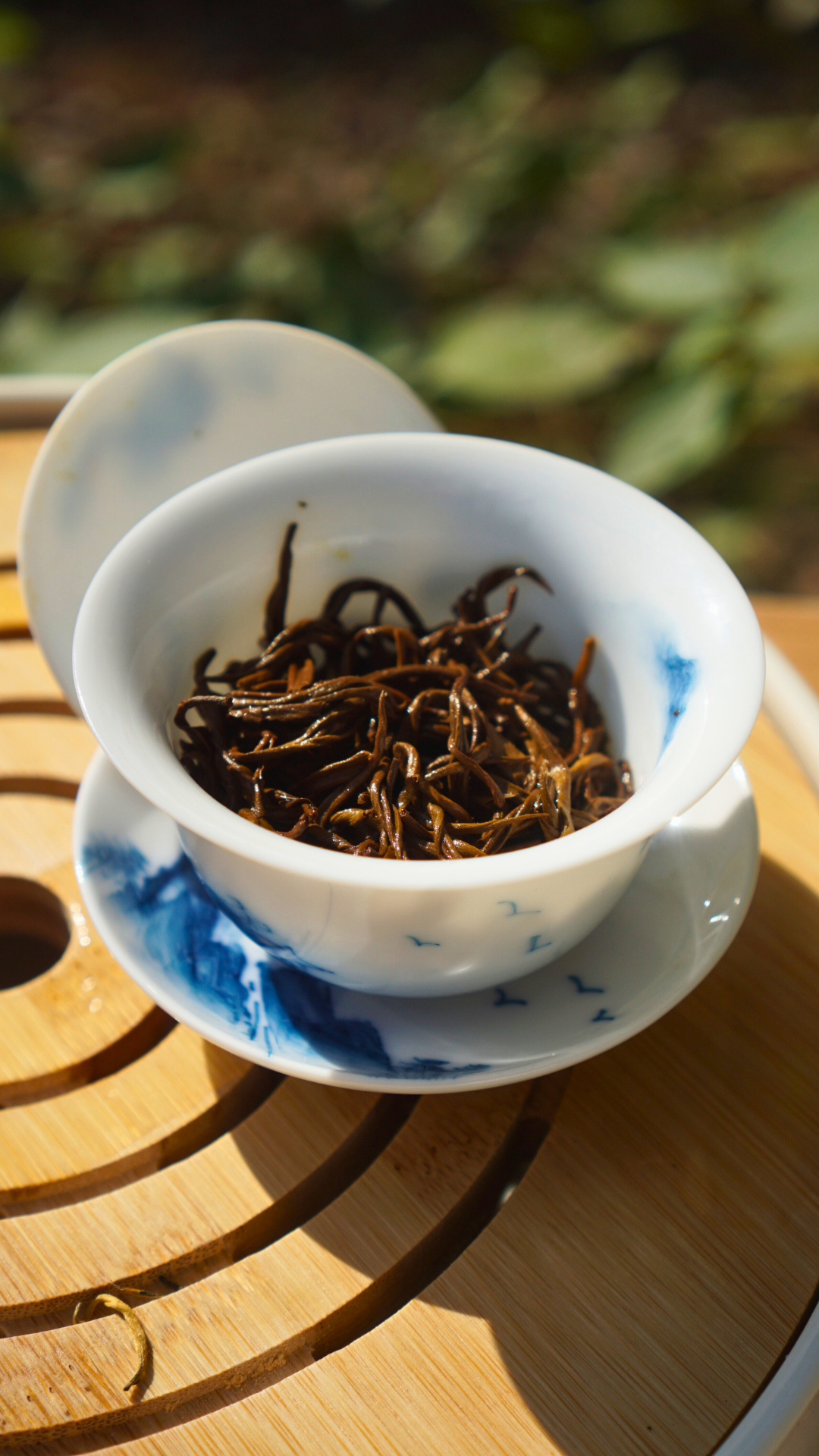 Dianhong Golden Threads