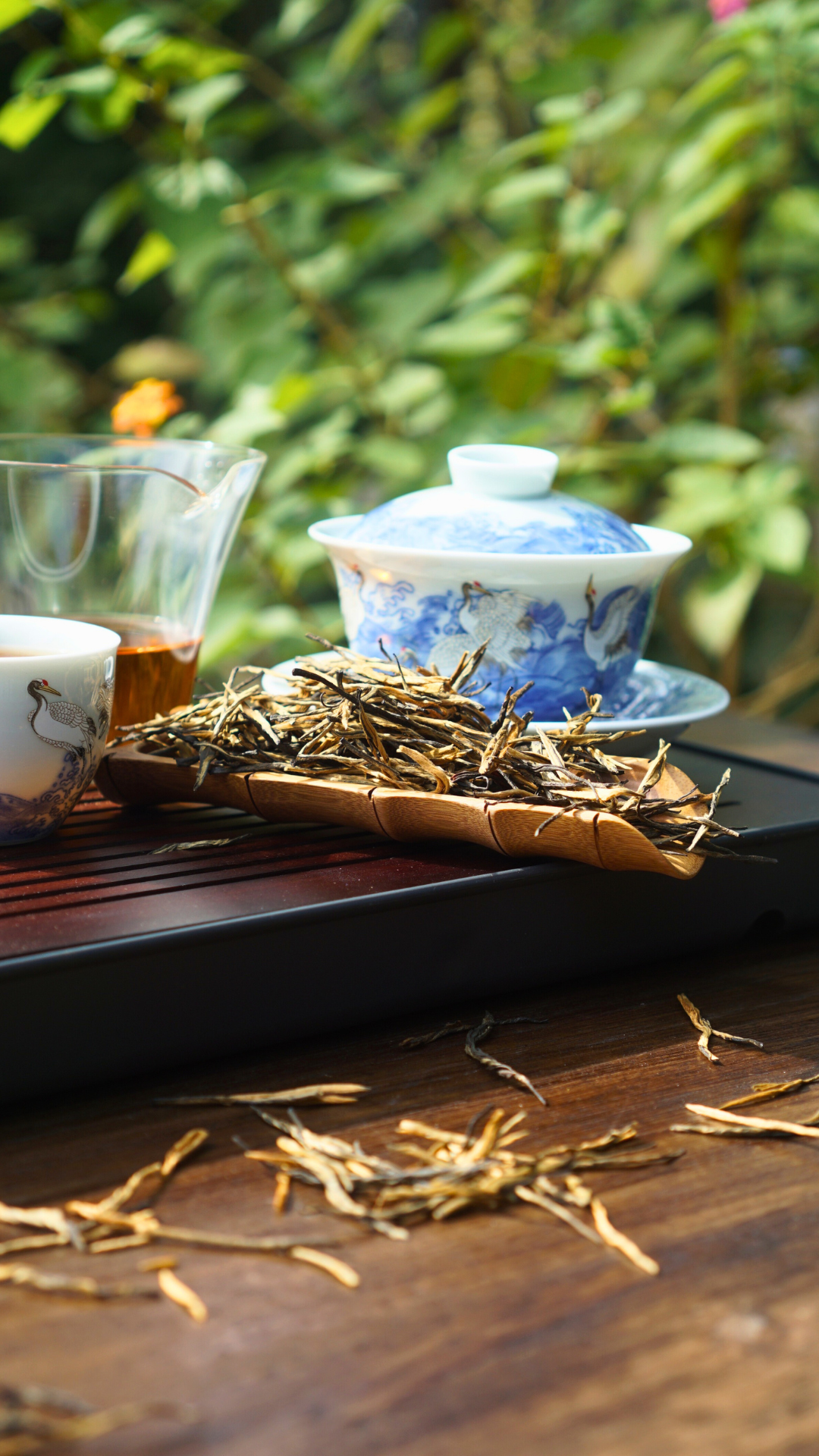 Dianhong Pine Needle