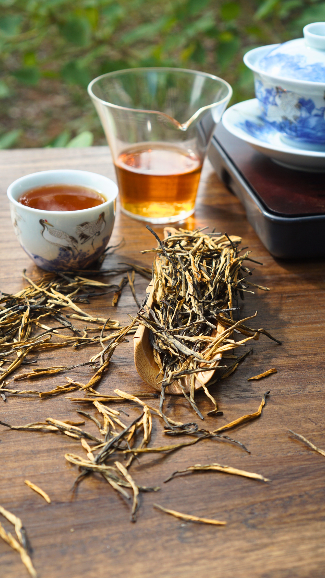 Dianhong Pine Needle