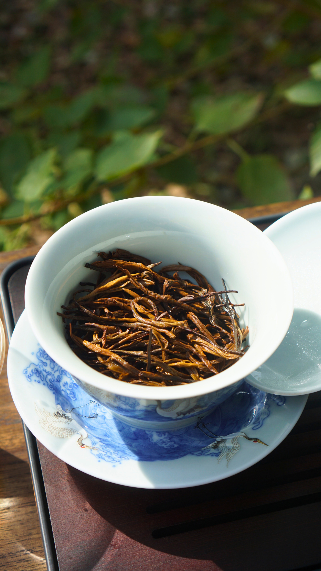 Dianhong Pine Needle