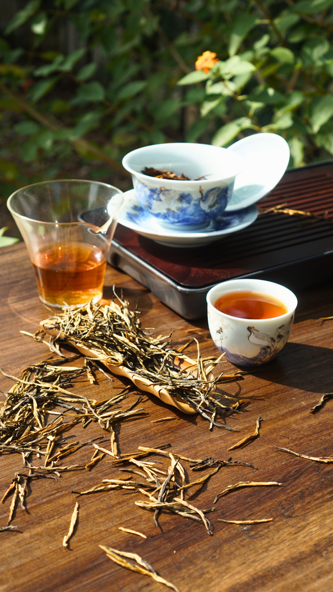 Dianhong Pine Needle