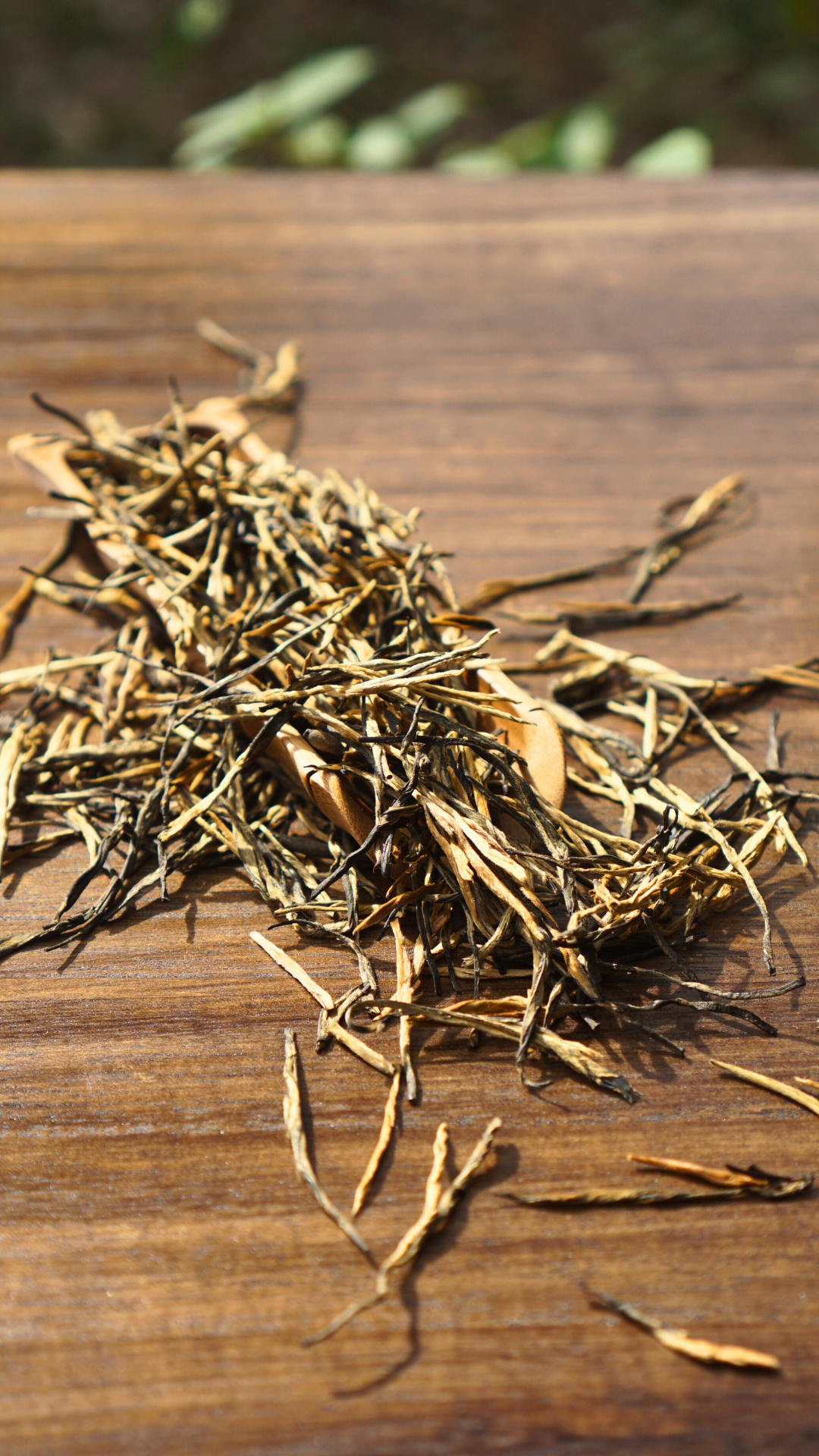 Dianhong Pine Needle