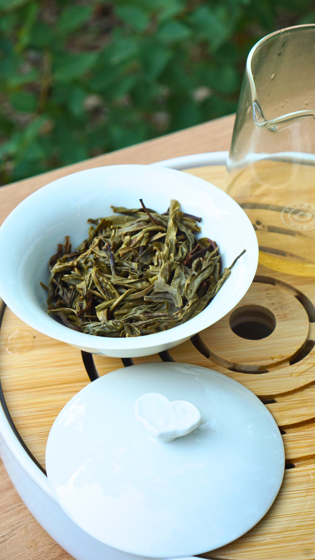Gua Feng Zhai Ancient Tea Tree Raw Pu-erh