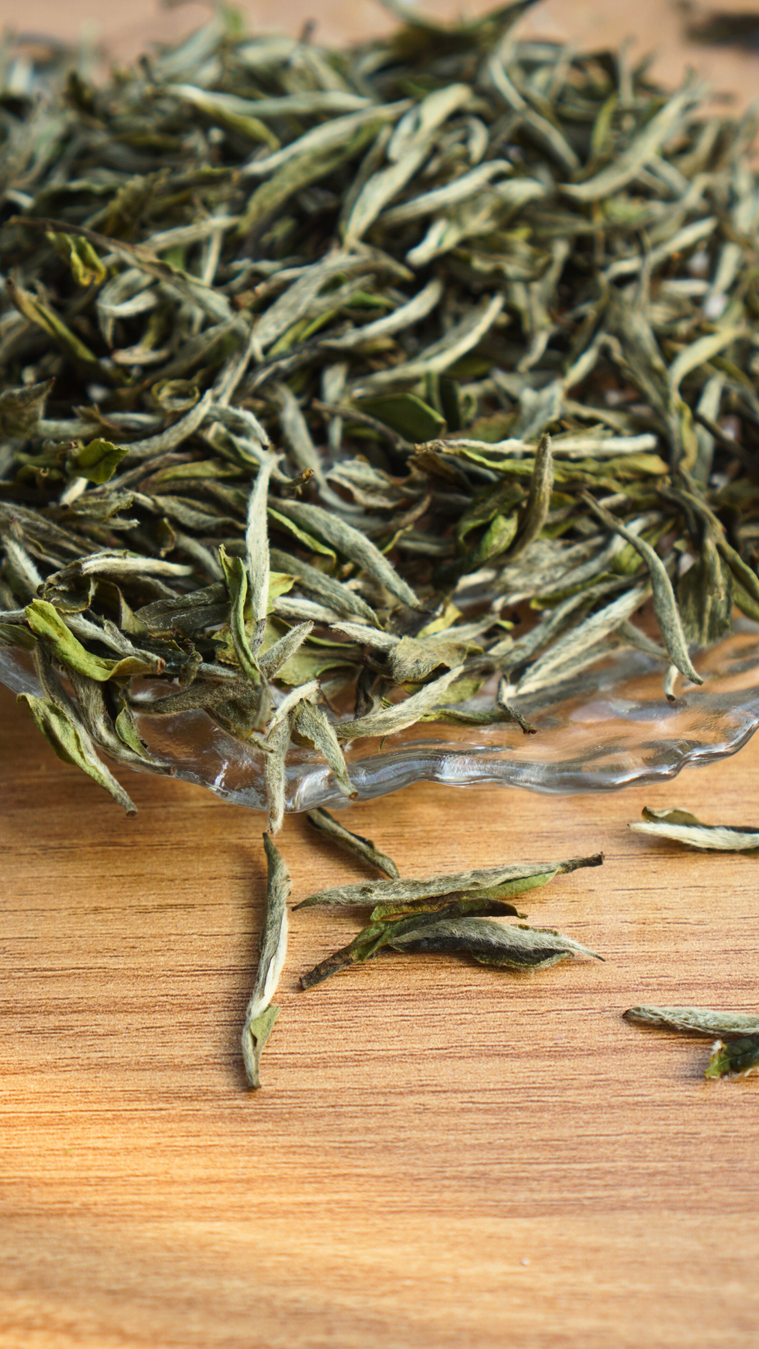 Guangyang Top Grade High Mountain Bai Mu Dan