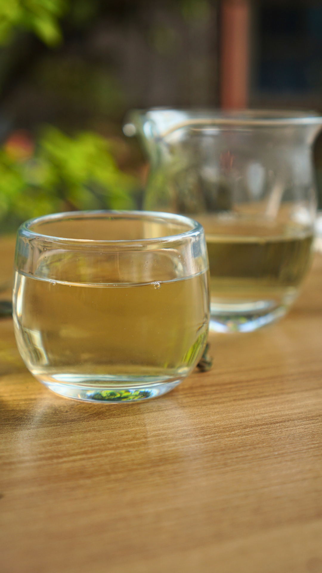 Guangyang Top Grade High Mountain Bai Mu Dan