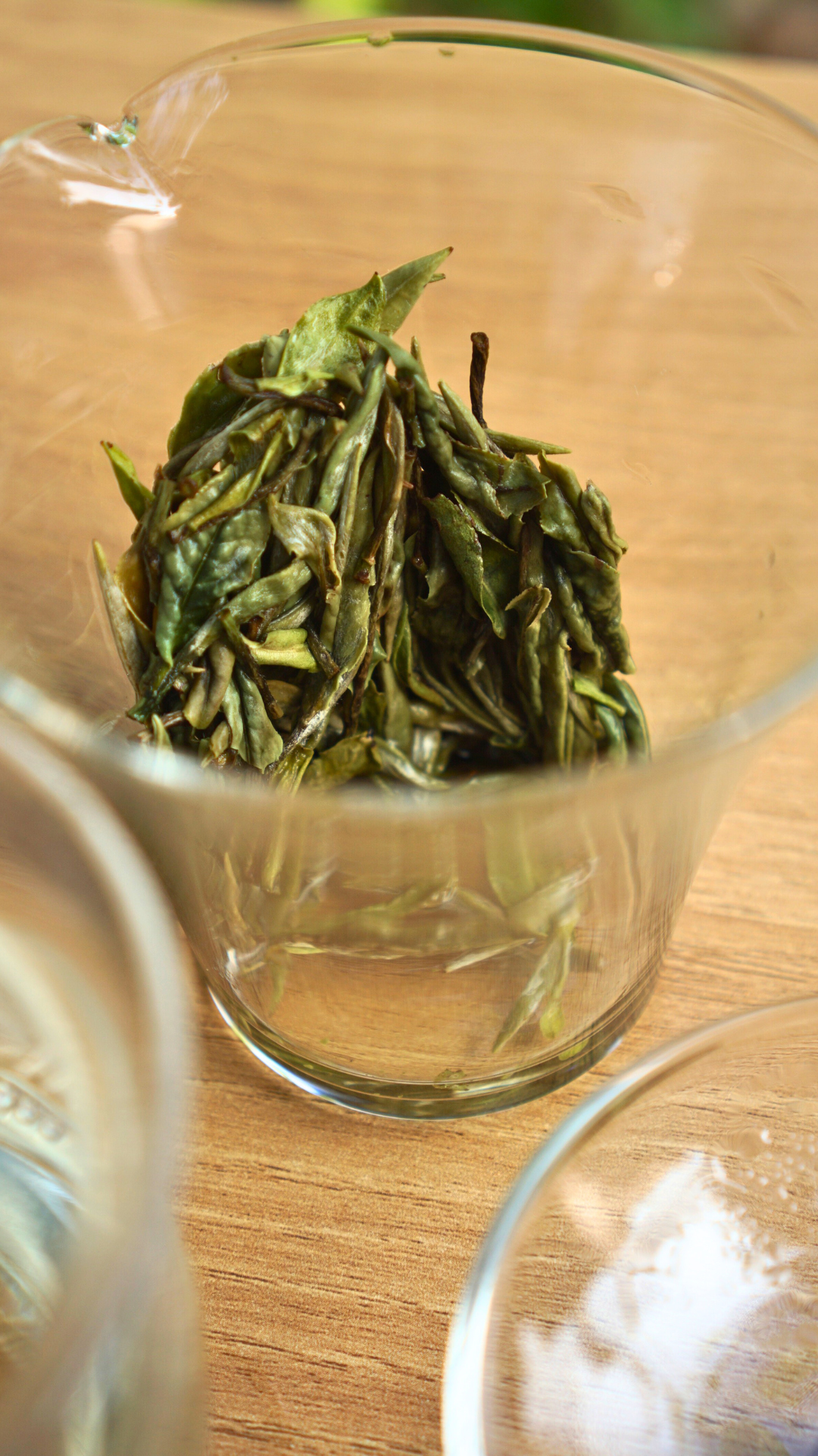 Guangyang Top Grade High Mountain Bai Mu Dan