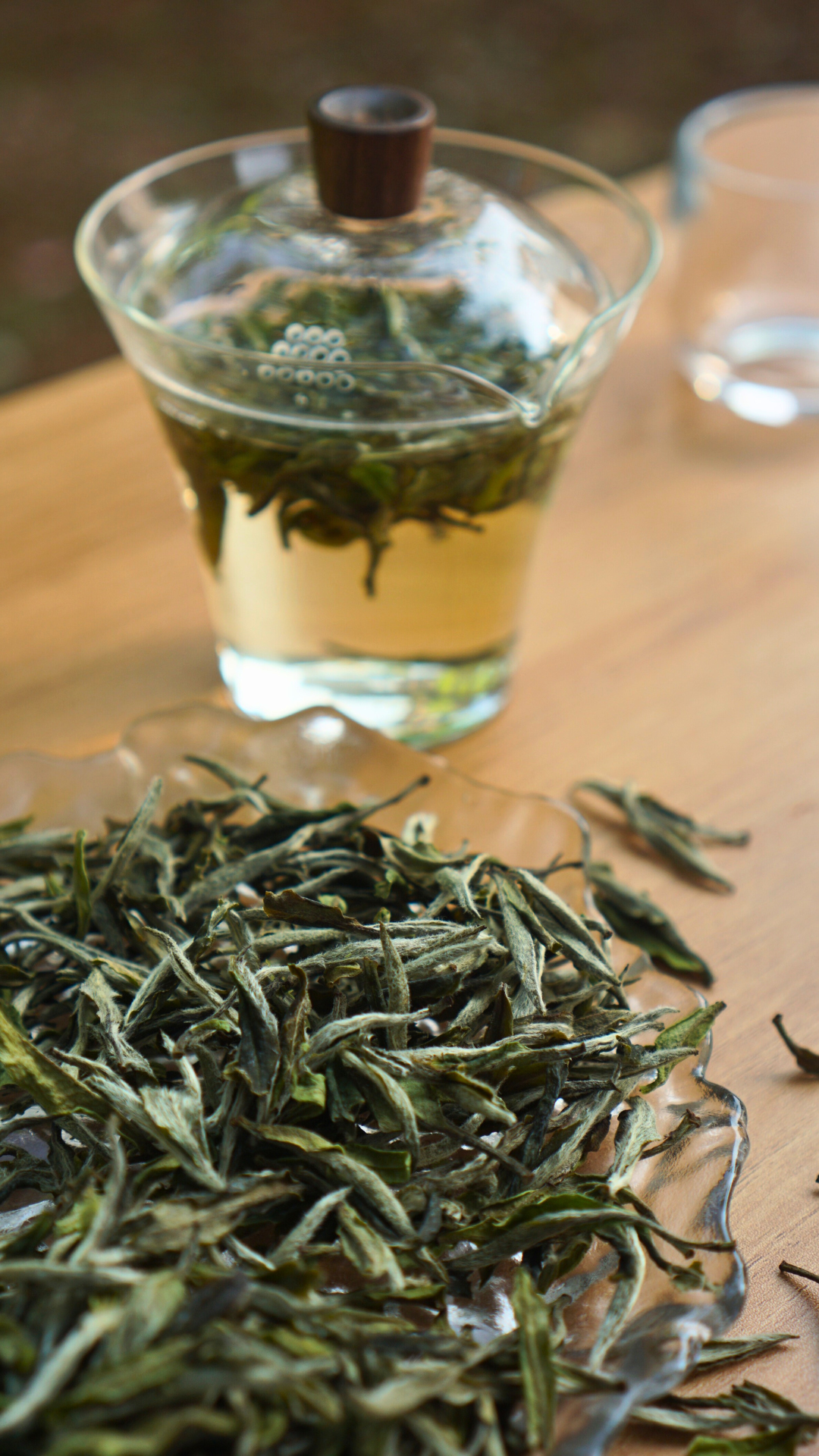 Guangyang Top Grade High Mountain Bai Mu Dan