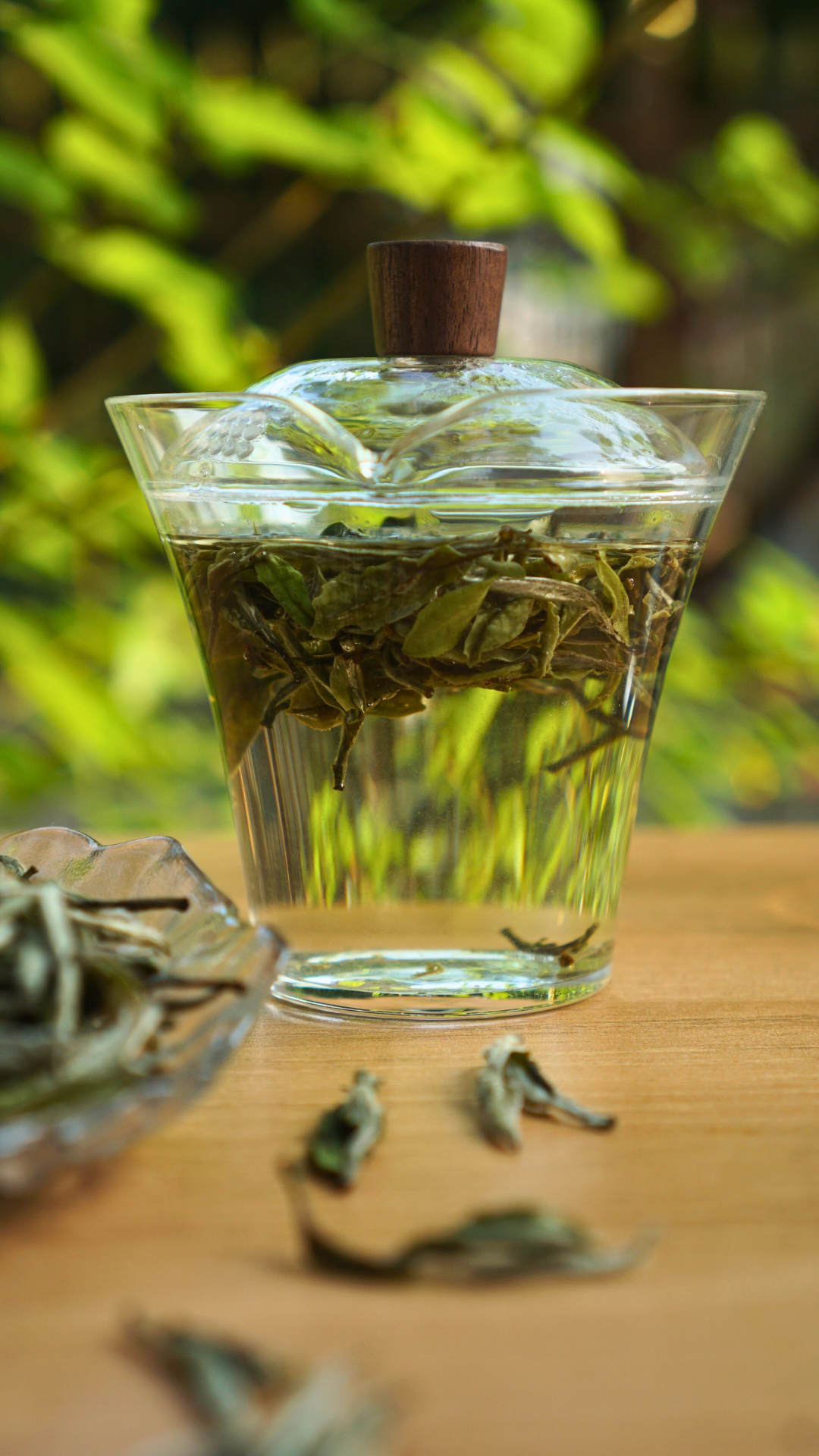 Guangyang Top Grade High Mountain Bai Mu Dan