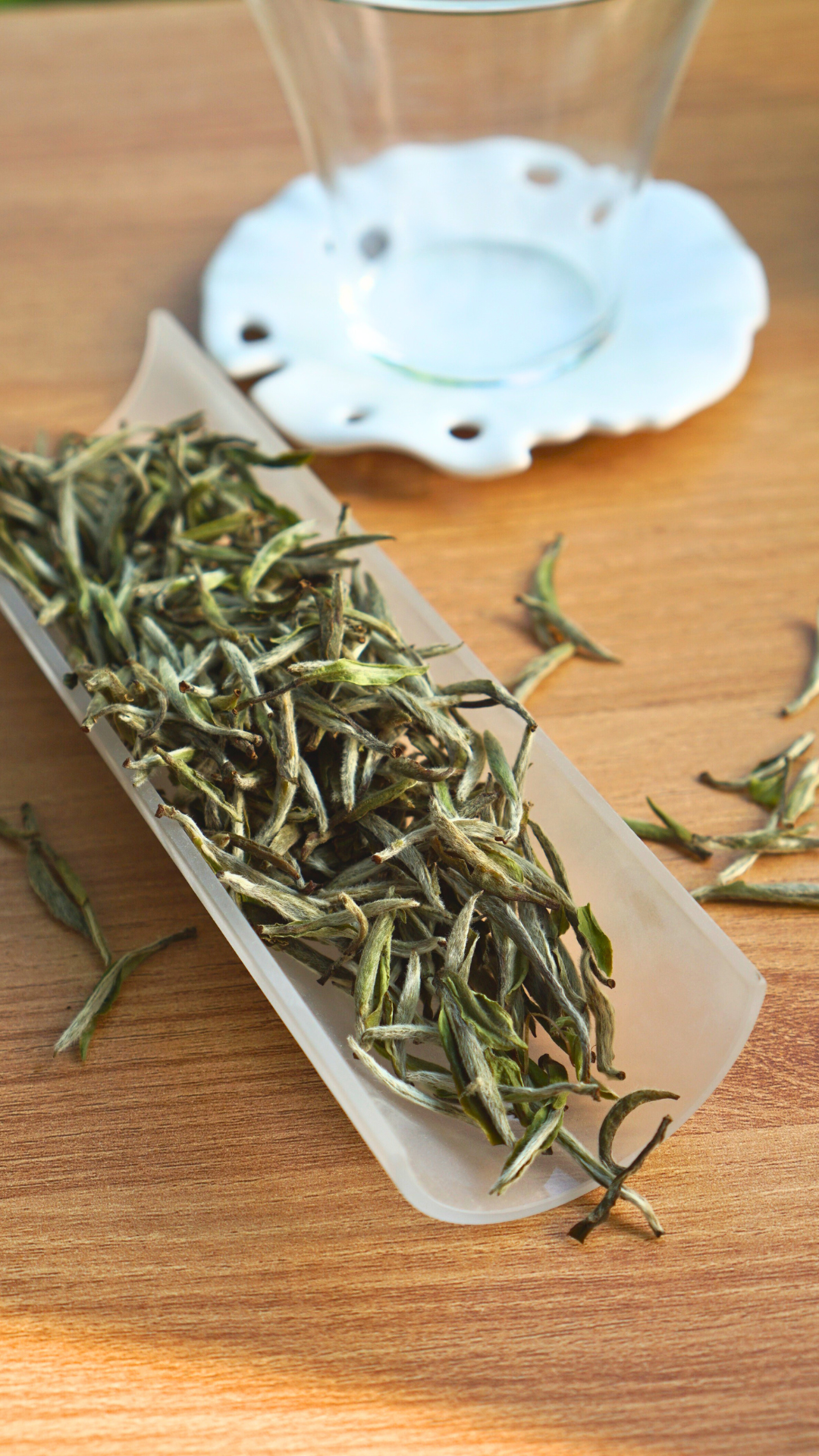 Guanyang High Mountain Old Tea Tree Bai Hao Yin Zhen