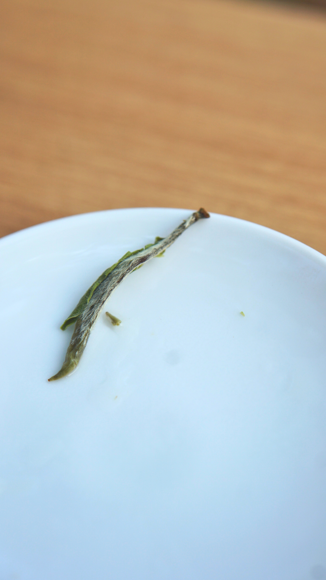 Guanyang High Mountain Old Tea Tree Bai Hao Yin Zhen
