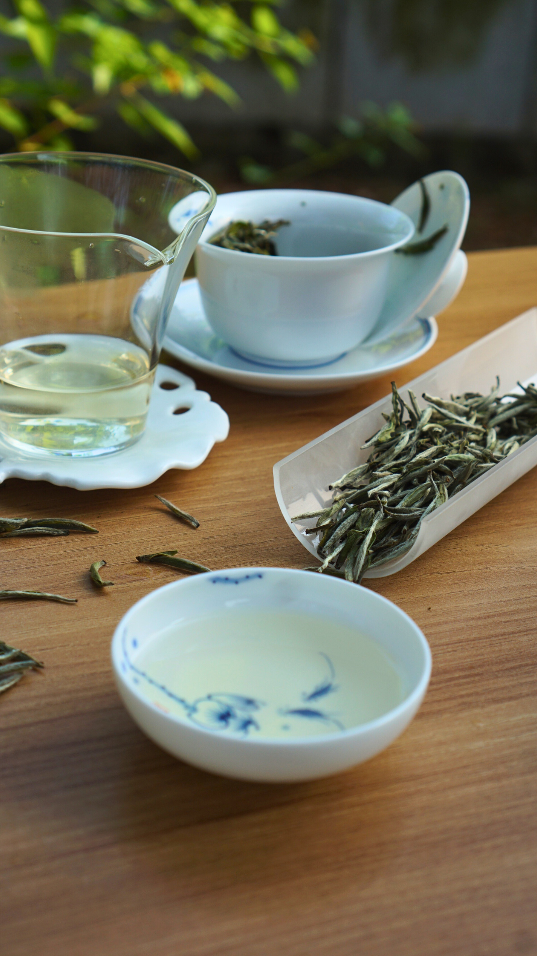 Guanyang High Mountain Old Tea Tree Bai Hao Yin Zhen