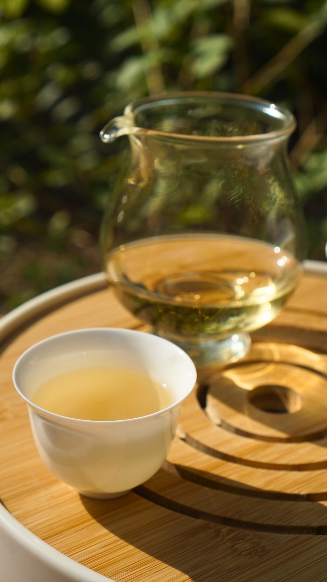Jinggu Bai Hao Yin Zhen-Tea Balls