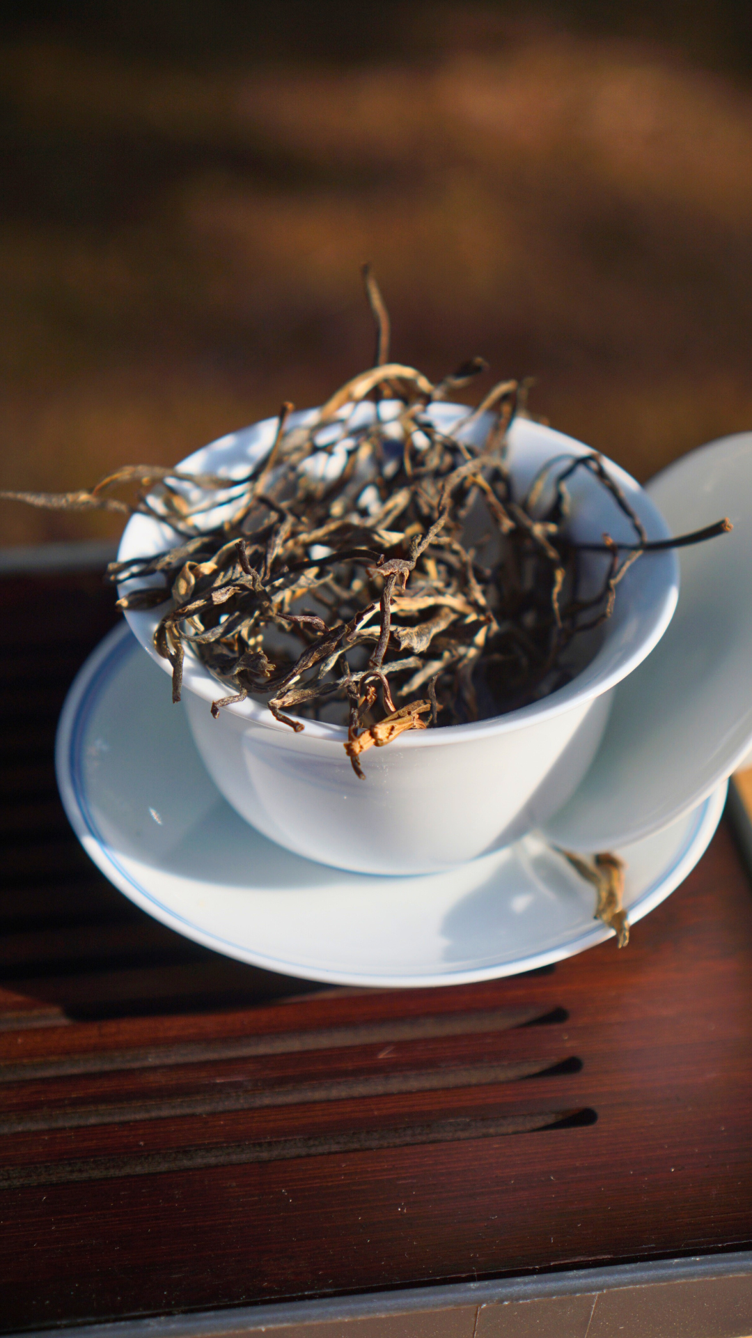 Lao Man'e Ancient Tea Tree Raw Pu-erh