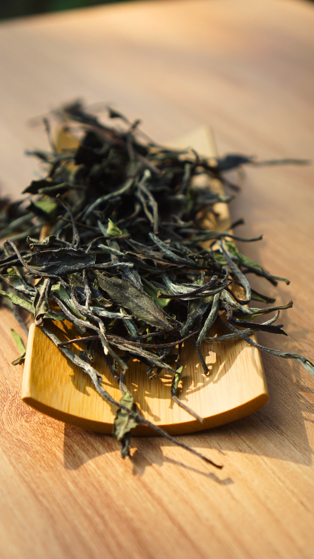 Mei Zhan White Tea