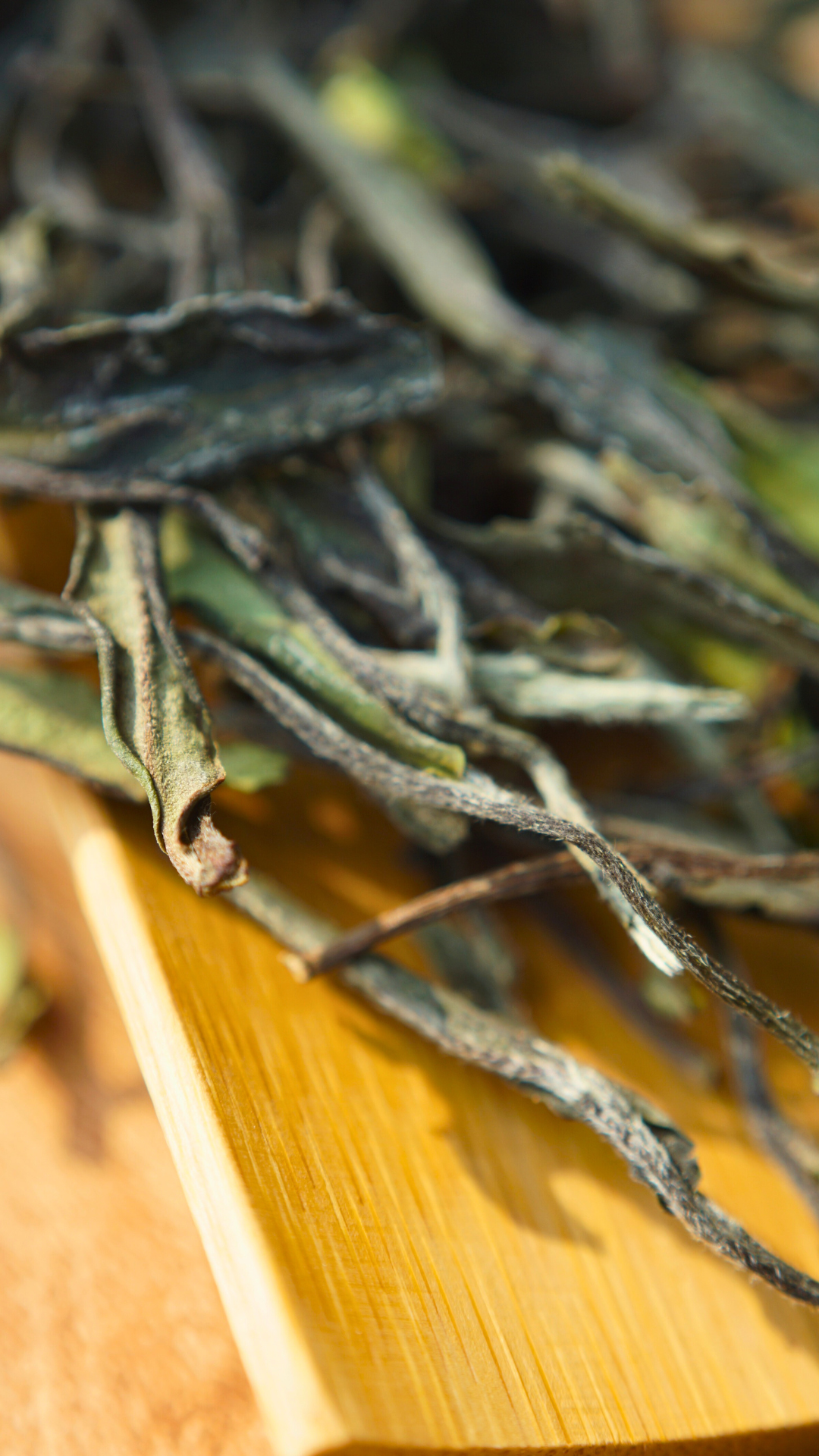 Mei Zhan White Tea