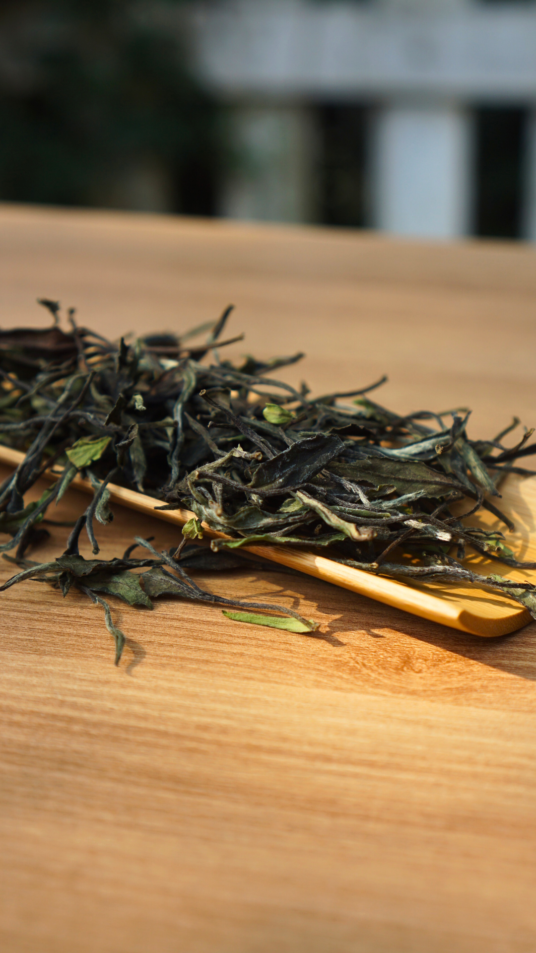 Mei Zhan White Tea