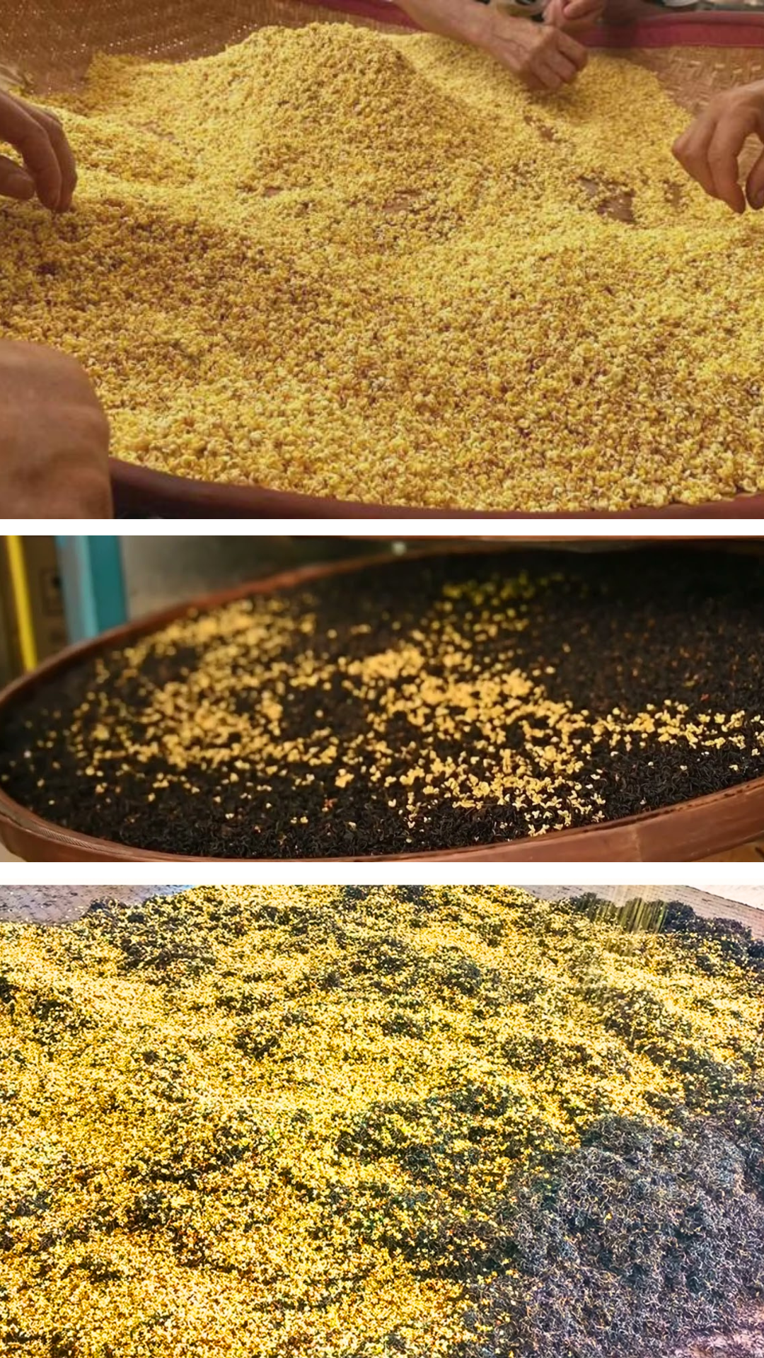 Osmanthus Qimen Black Tea
