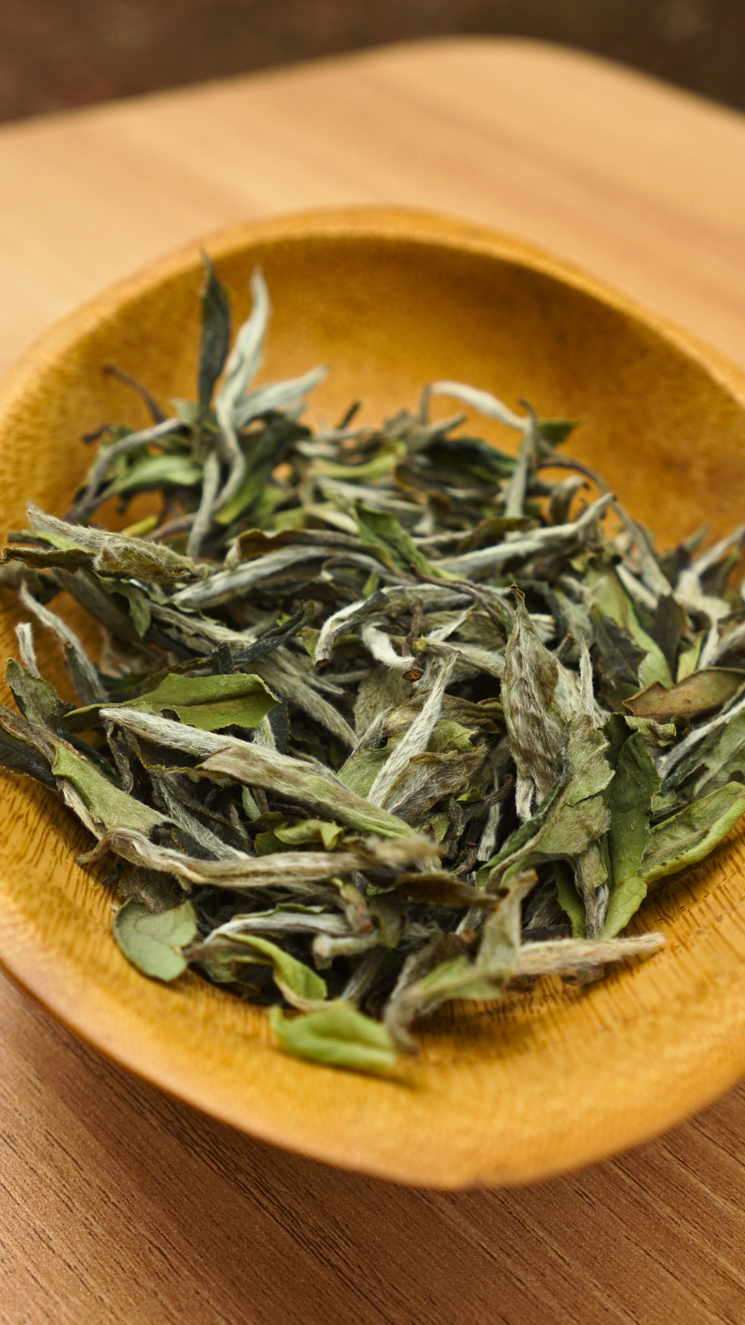Panxi Da Yang Shan Bai Mu Dan