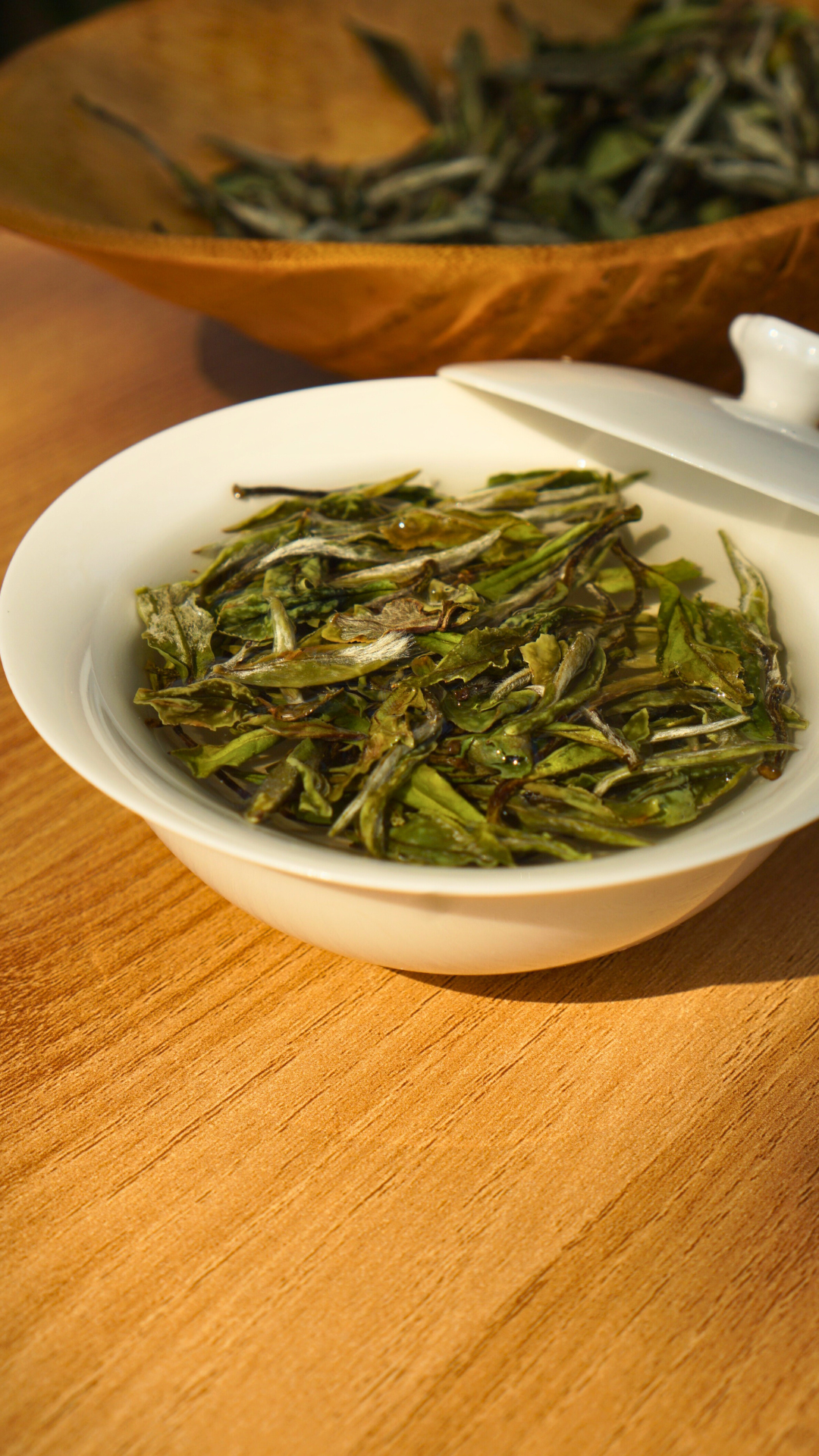 Panxi Da Yang Shan Bai Mu Dan
