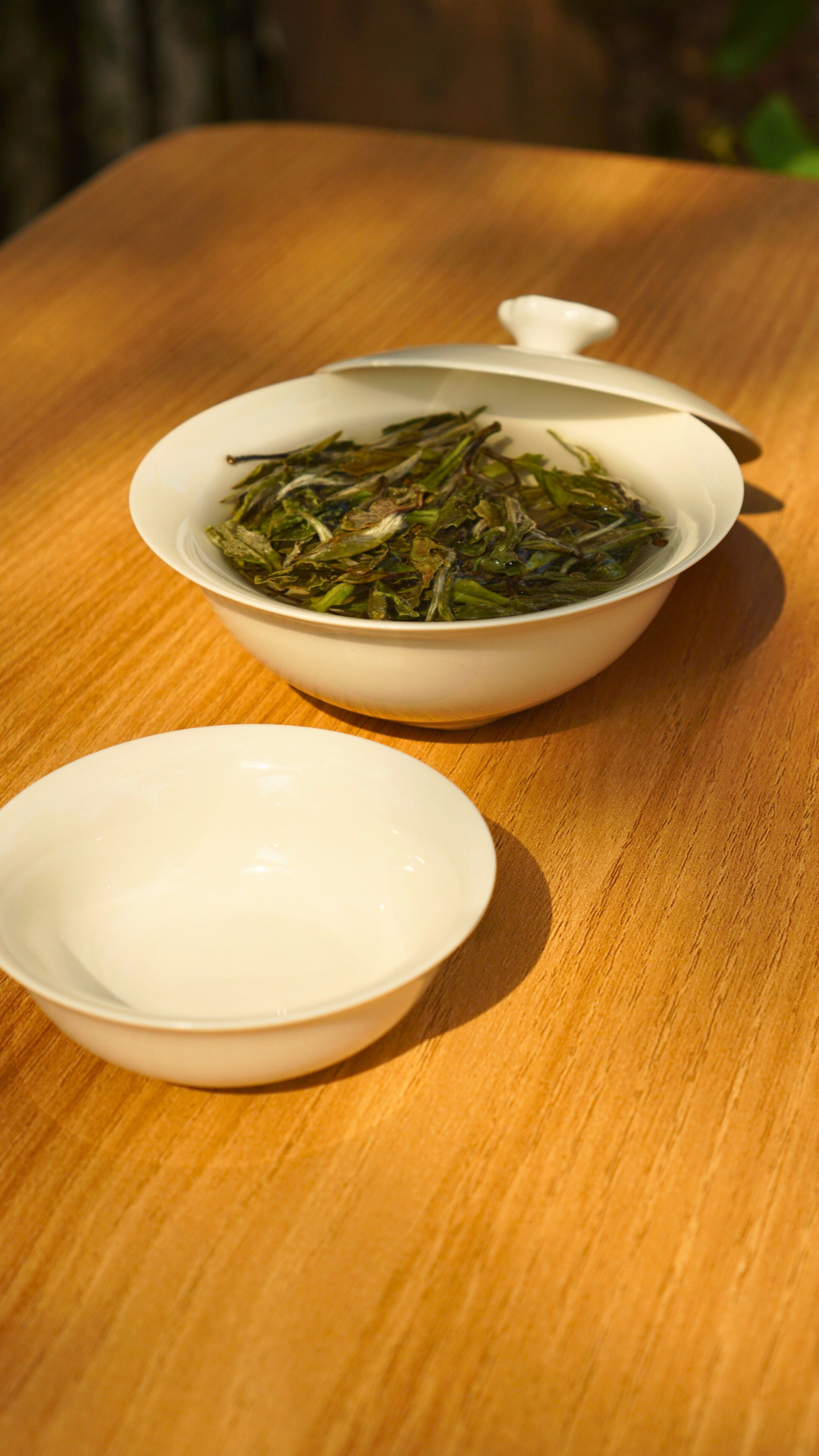 Panxi Da Yang Shan Bai Mu Dan