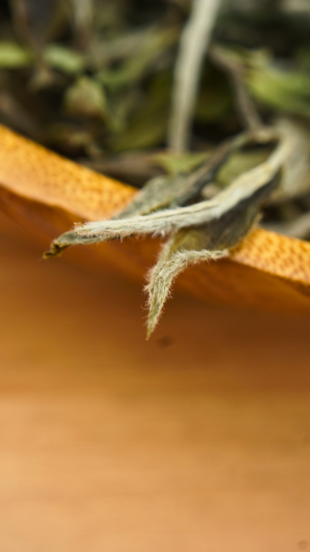 Panxi Da Yang Shan Bai Mu Dan