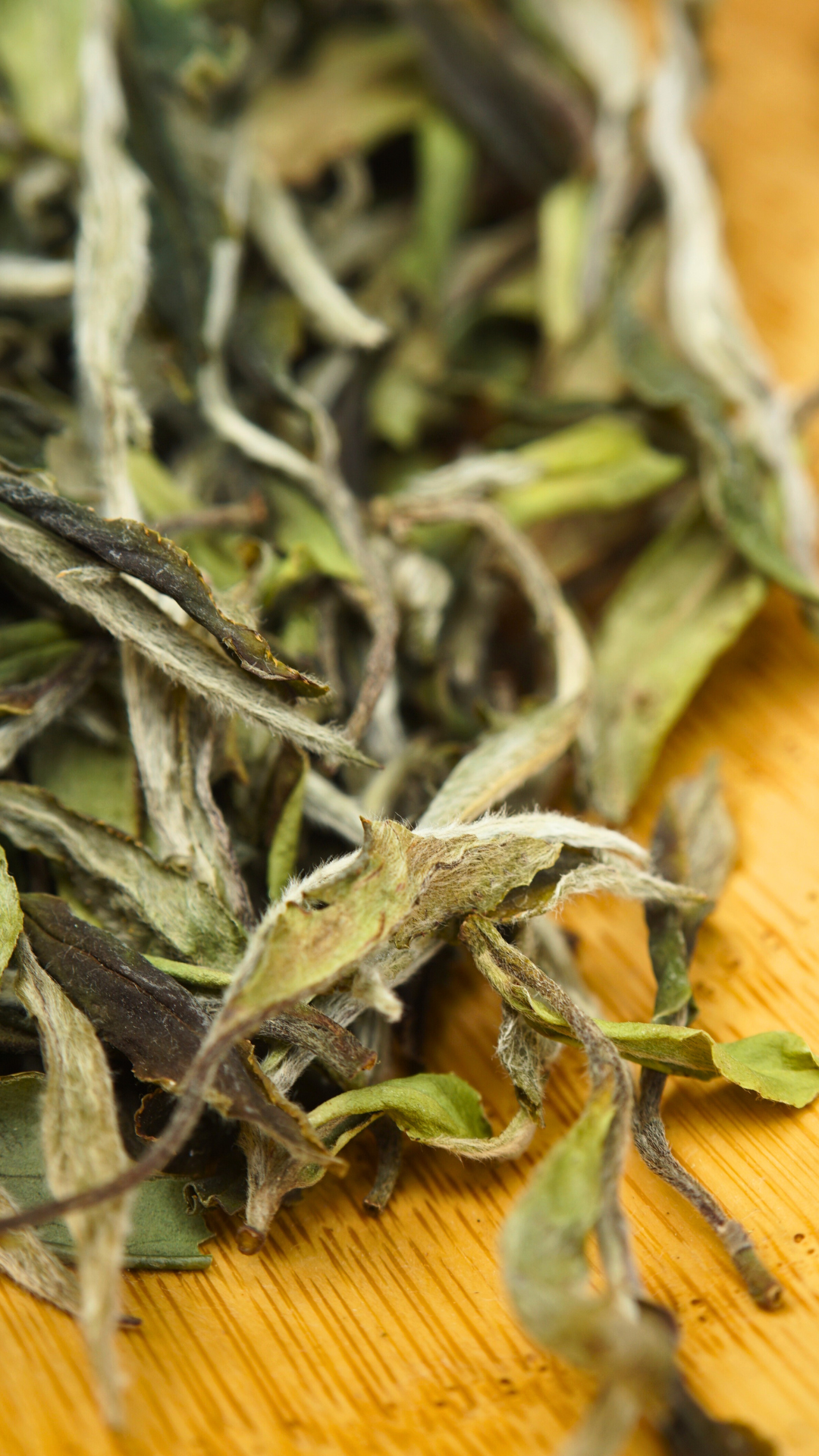 Panxi Da Yang Shan Bai Mu Dan