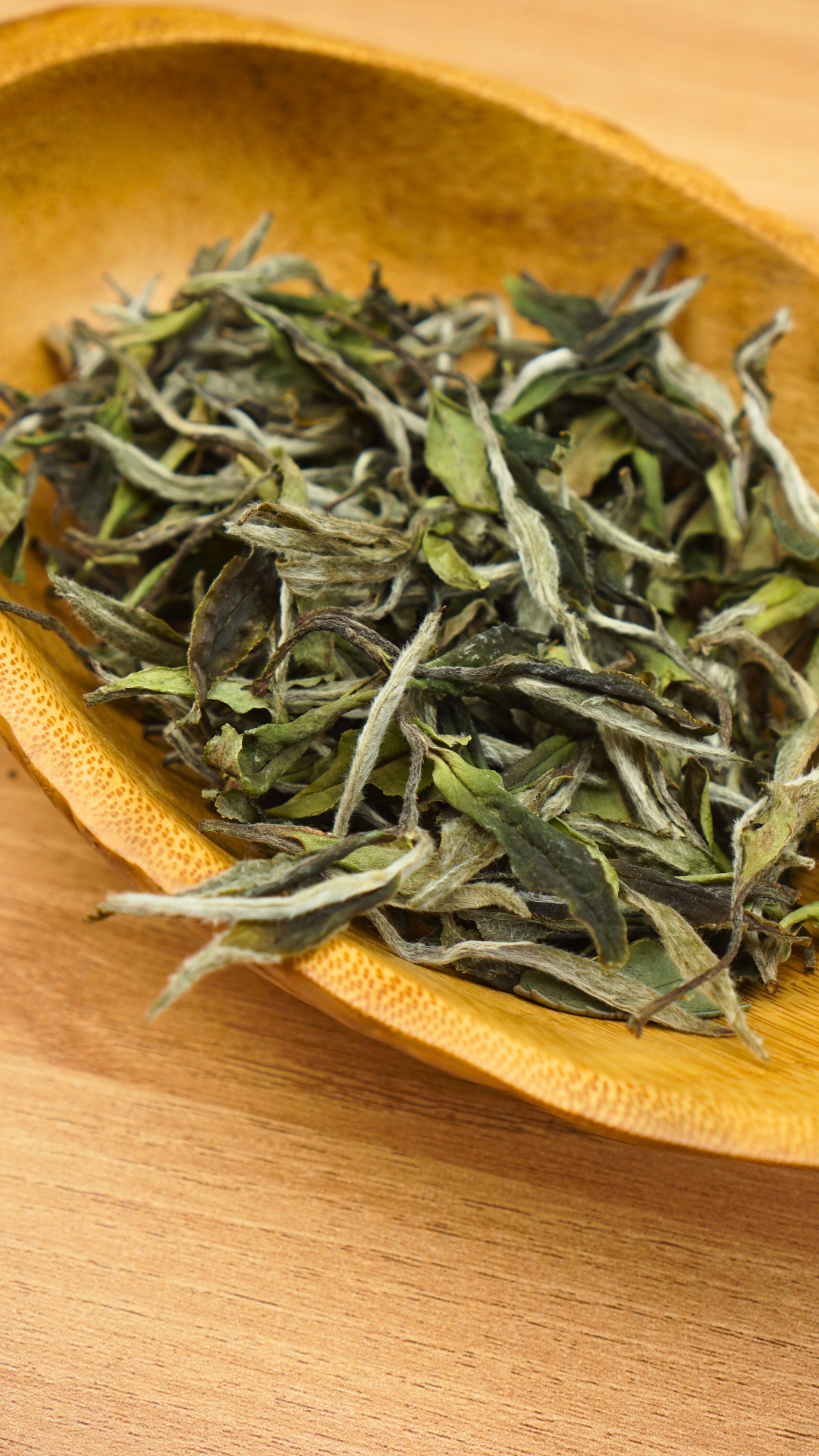 Panxi Da Yang Shan Bai Mu Dan