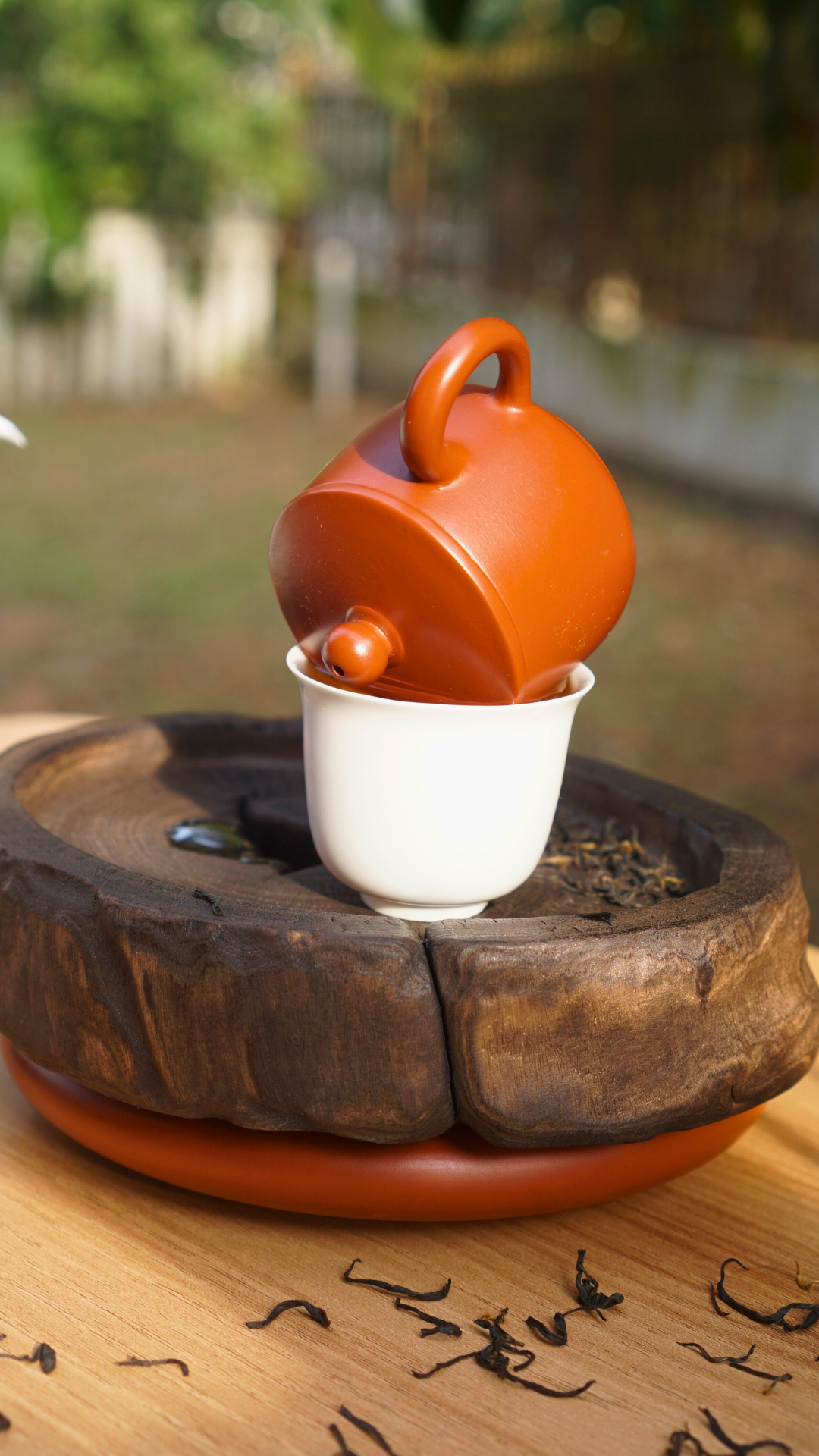 Qimen Black Tea-Mao Feng
