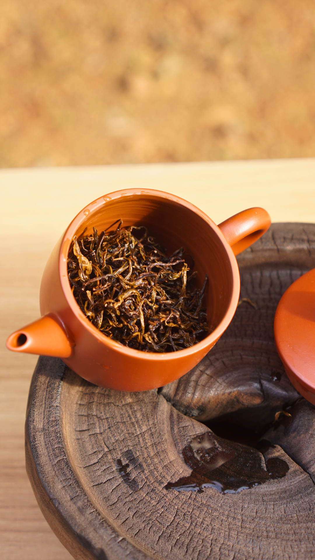 Qimen Black Tea-Mao Feng