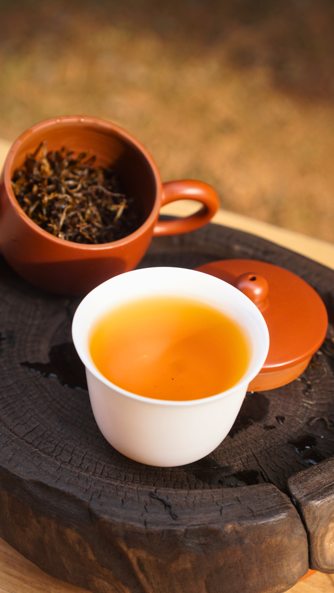 Qimen Black Tea-Mao Feng