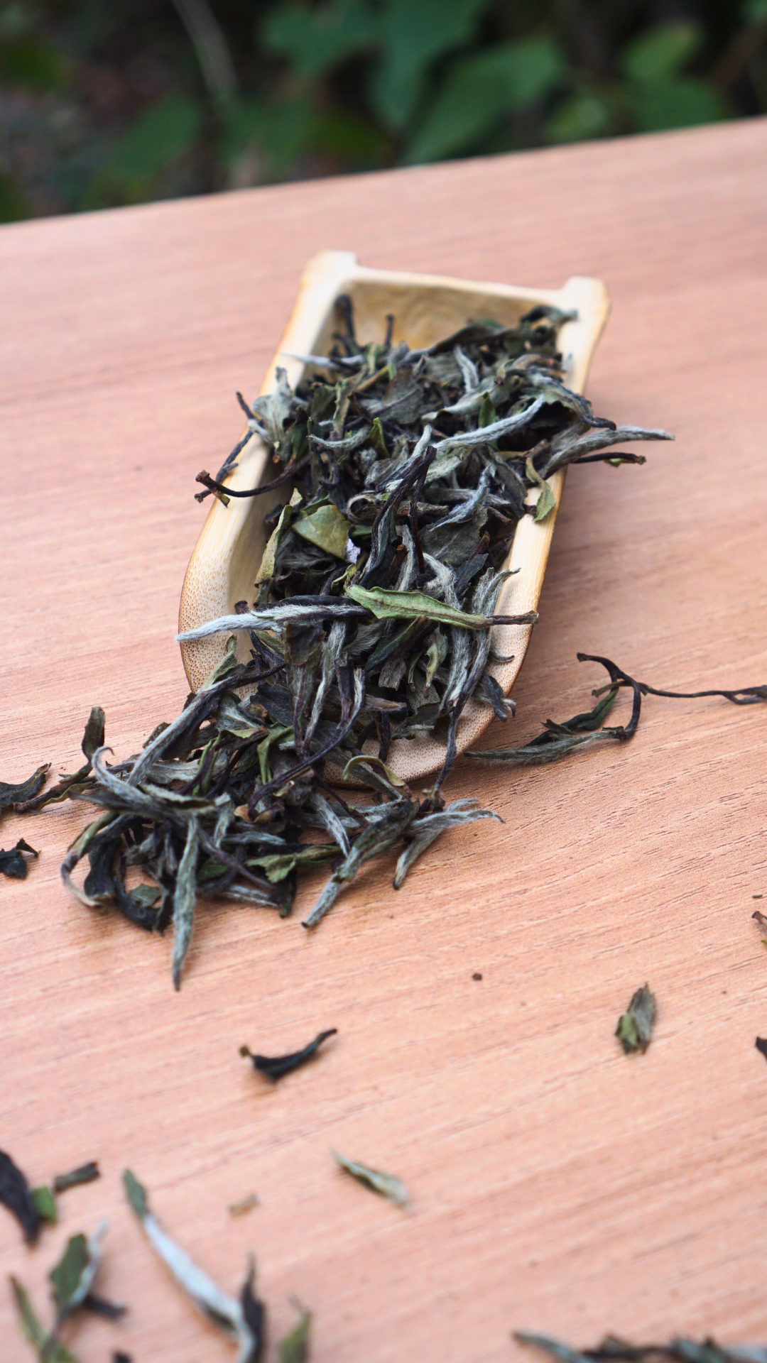 Top Grade Zheng He Bai Mu Dan